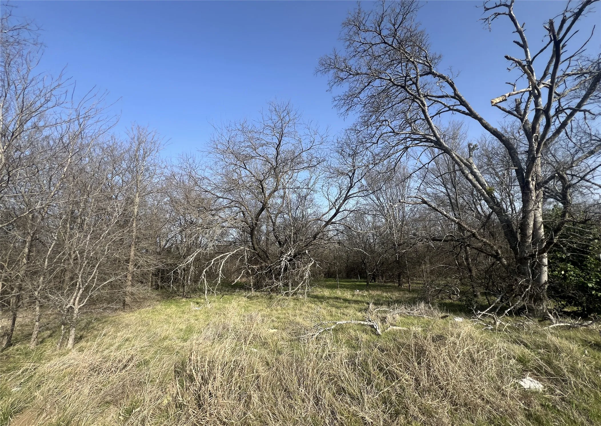 Wooded Property