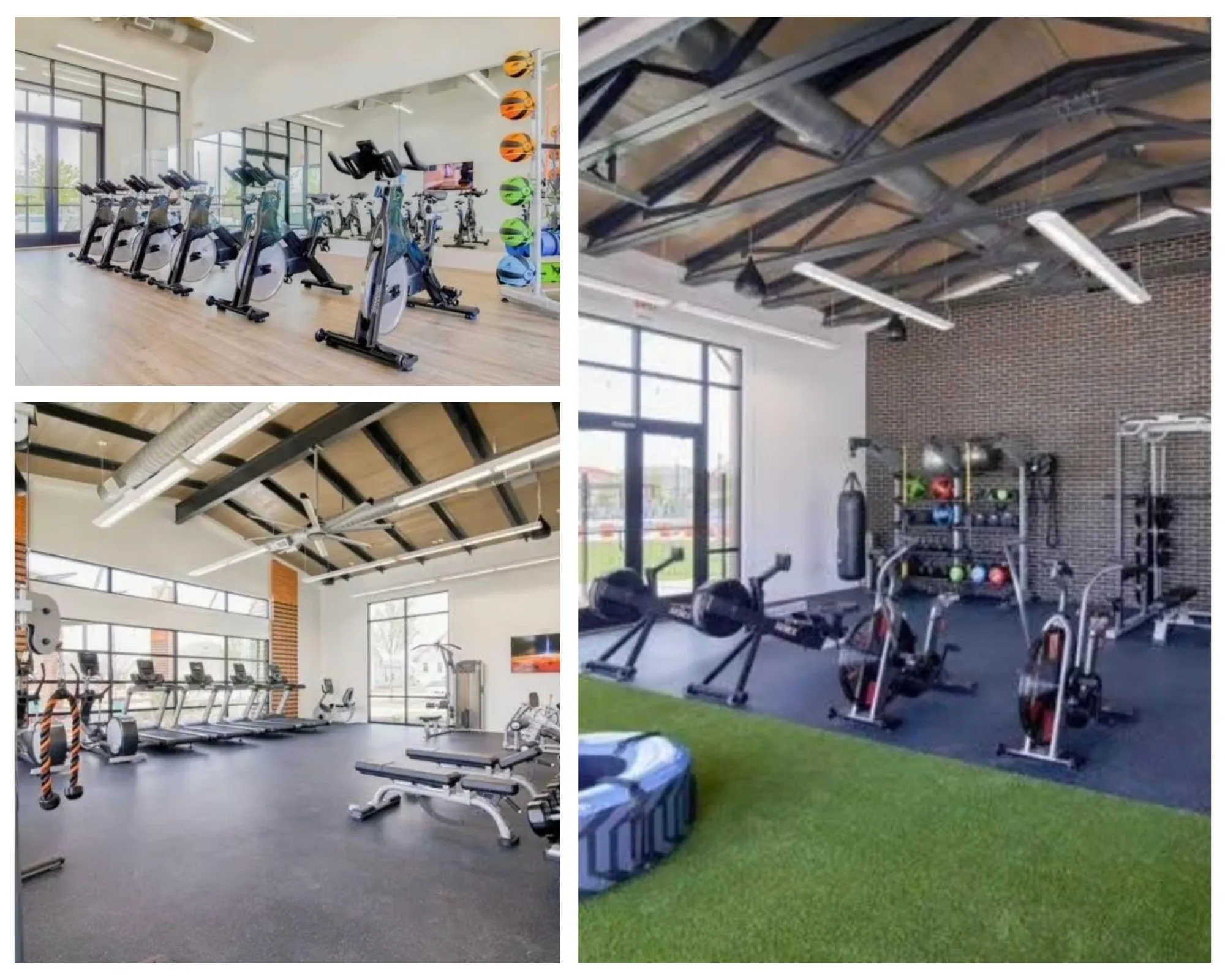 Gyms