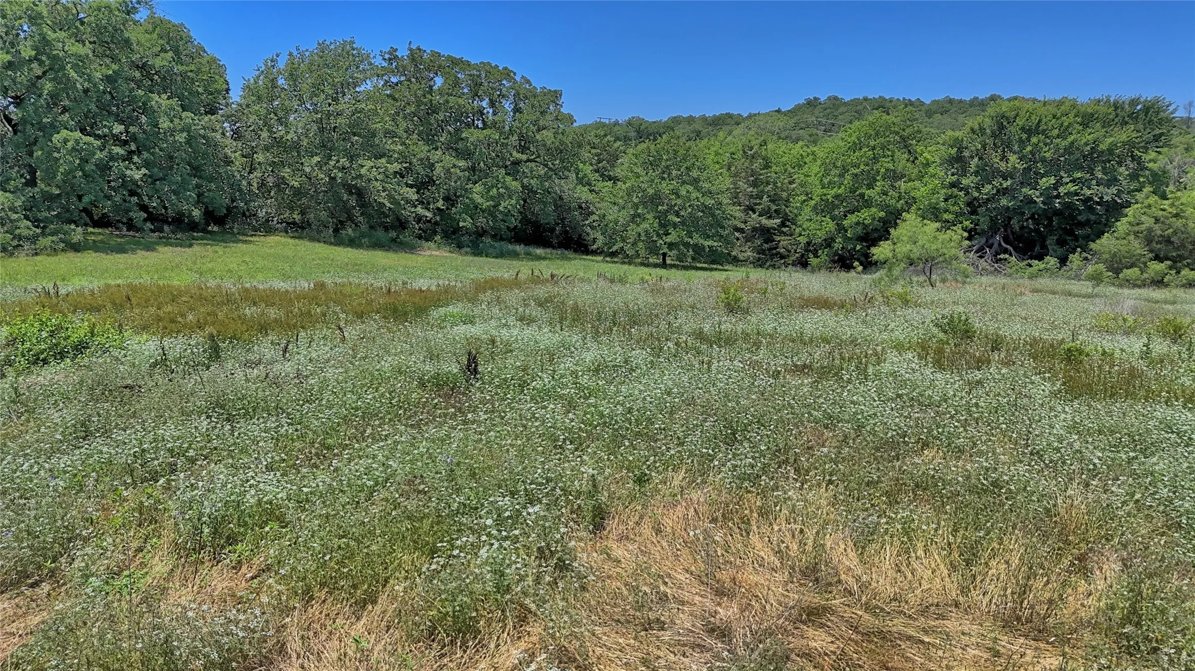 Unimproved Land For Sale in Montague County , 604 S Mill Street, Bowie, Texas 76230, 0, 0, Garage spaces, 0 Sqft, built in 0, Price $195,000, mls#21185173, Real Estate Agent in Bowie, Homes For Sale in Montague county, Homes For Sale in Bowie, Realtor in Bowie Texas, Real Estate Brokerage Independent Realty Texas, Luminita Cordes Realtor