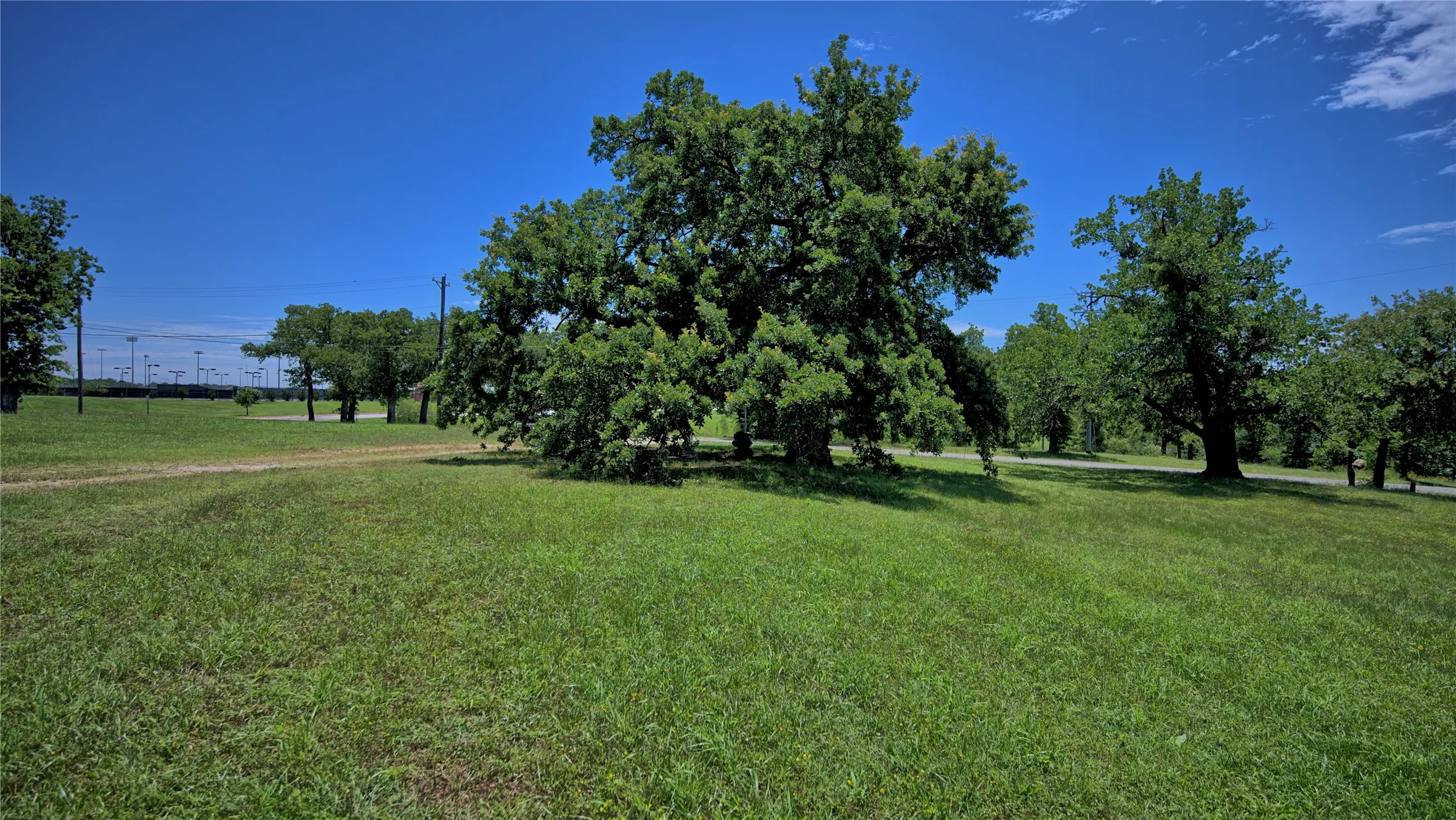 Unimproved Land For Sale in Montague County , 604 S Mill Street, Bowie, Texas 76230, 0, 0, Garage spaces, 0 Sqft, built in 0, Price $195,000, mls#21185173, Real Estate Agent in Bowie, Homes For Sale in Montague county, Homes For Sale in Bowie, Realtor in Bowie Texas, Real Estate Brokerage Independent Realty Texas, Luminita Cordes Realtor