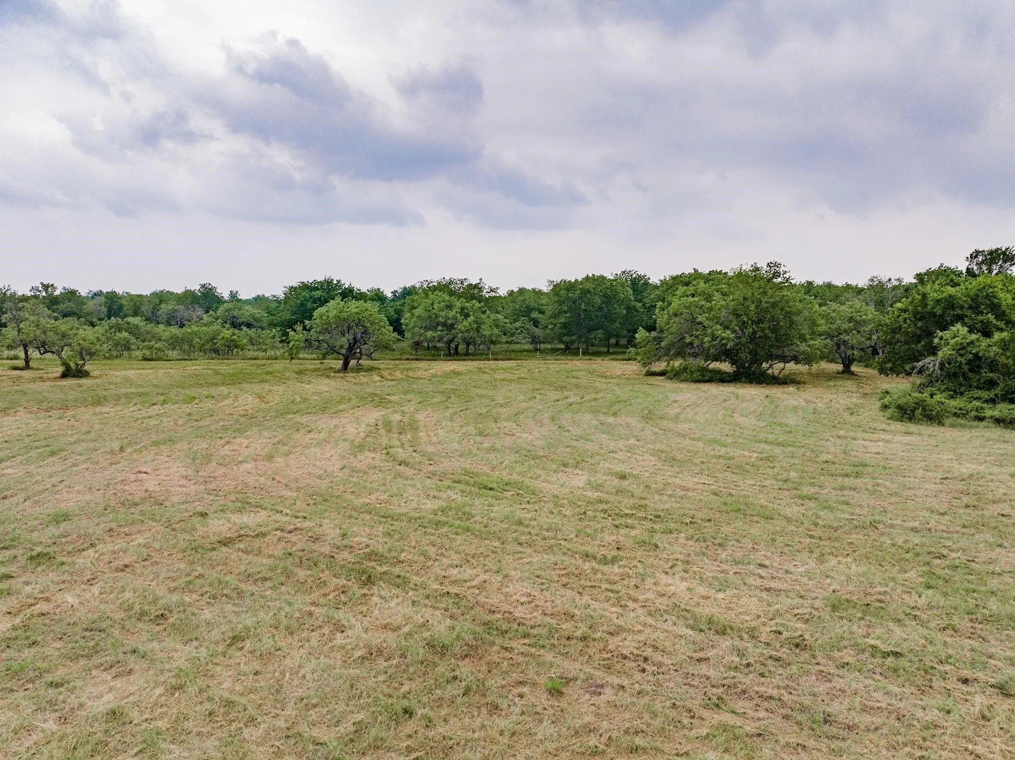 View of local wilderness with rural landscape