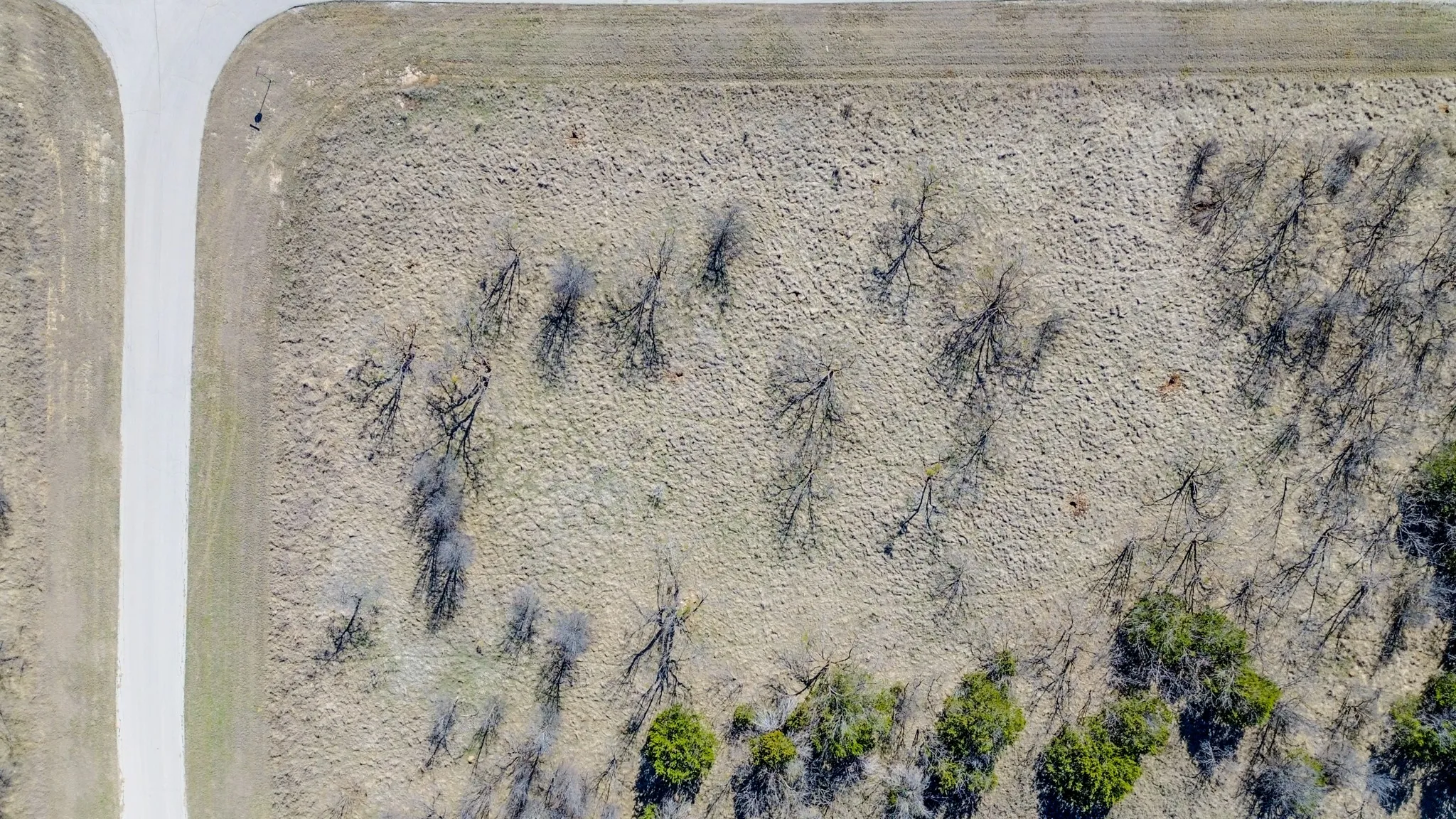 Unimproved Land For Sale in Palo Pinto County , Lot 1023 Turtle Dove, Graford, Texas 76449, 0, 0, Garage spaces, 0 Sqft, built in 0, mls#21185461, Real Estate Agent in Graford, Homes For Sale in Palo Pinto county, Homes For Sale in Graford, Realtor in Graford Texas, Real Estate Brokerage Independent Realty Texas, Luminita Cordes Realtor