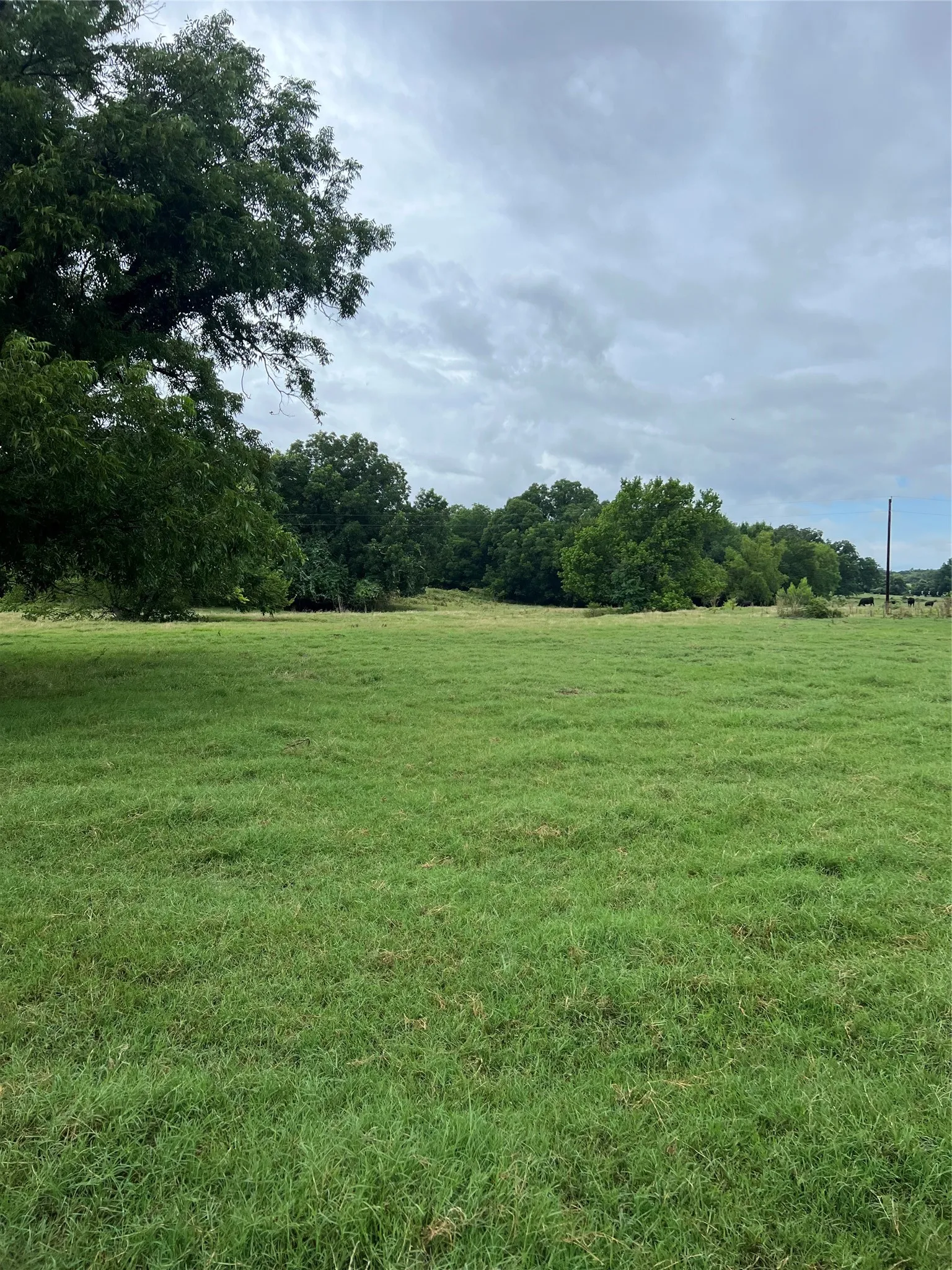 Unimproved Land For Sale in Wise County , TBD Abel Lane, Boyd, Texas 76023, 0, 0, Garage spaces, 0 Sqft, built in 0, mls#21185729, Real Estate Agent in Boyd, Homes For Sale in Wise county, Homes For Sale in Boyd, Realtor in Boyd Texas, Real Estate Brokerage Independent Realty Texas, Luminita Cordes Realtor