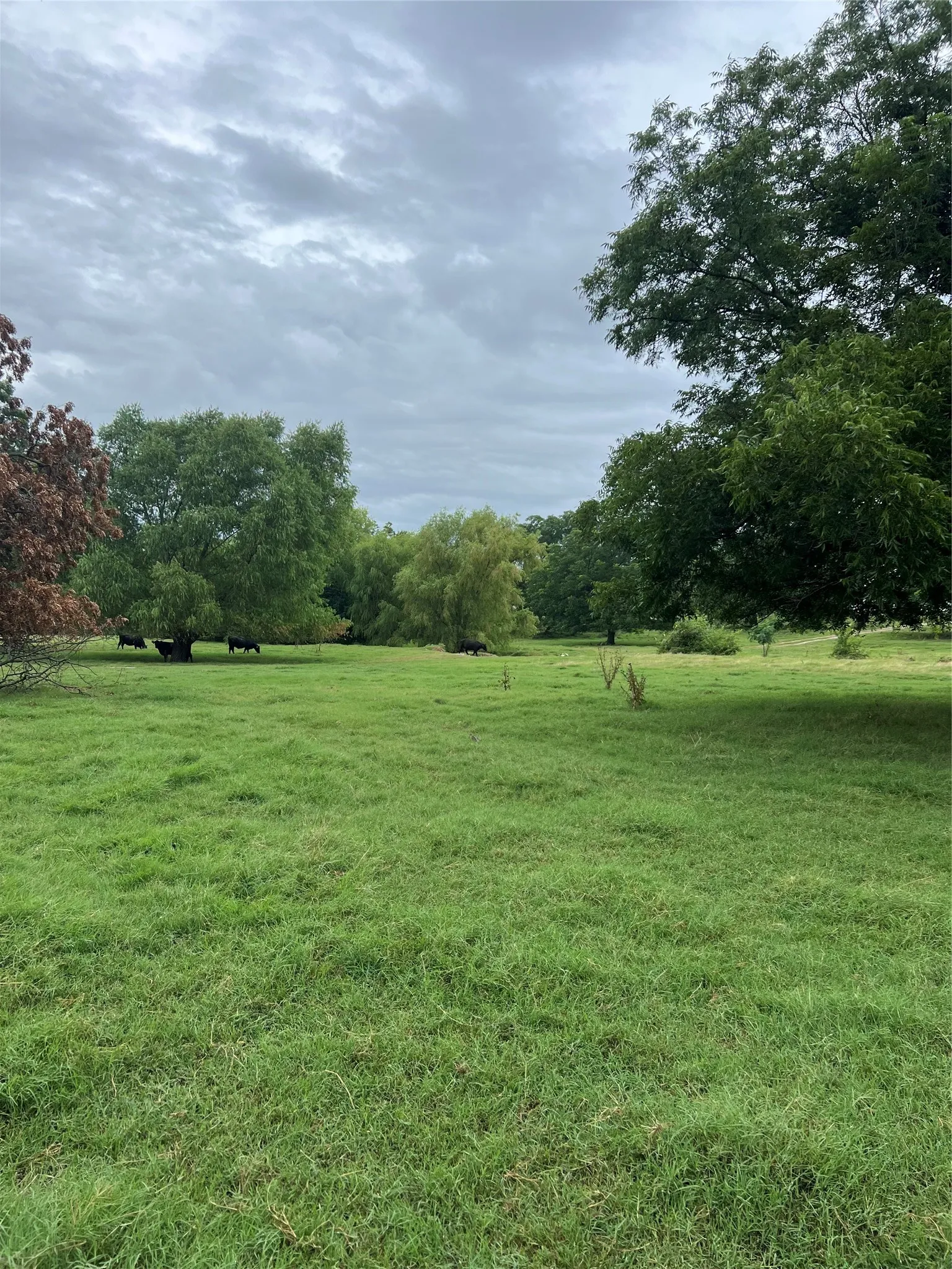Unimproved Land For Sale in Wise County , TBD Abel Lane, Boyd, Texas 76023, 0, 0, Garage spaces, 0 Sqft, built in 0, mls#21185729, Real Estate Agent in Boyd, Homes For Sale in Wise county, Homes For Sale in Boyd, Realtor in Boyd Texas, Real Estate Brokerage Independent Realty Texas, Luminita Cordes Realtor