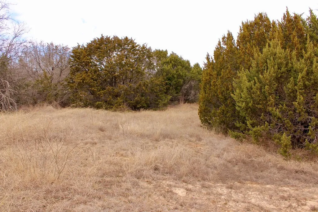 View of nature