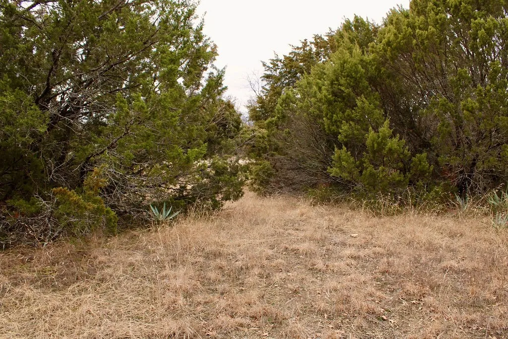 View of nature