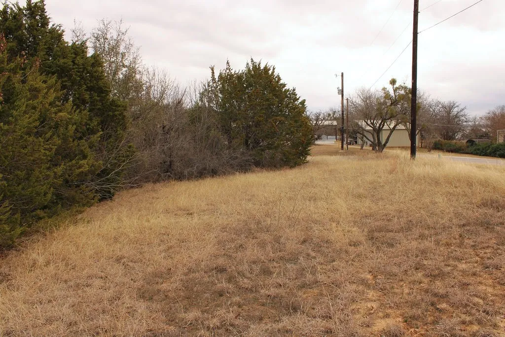 View of local wilderness