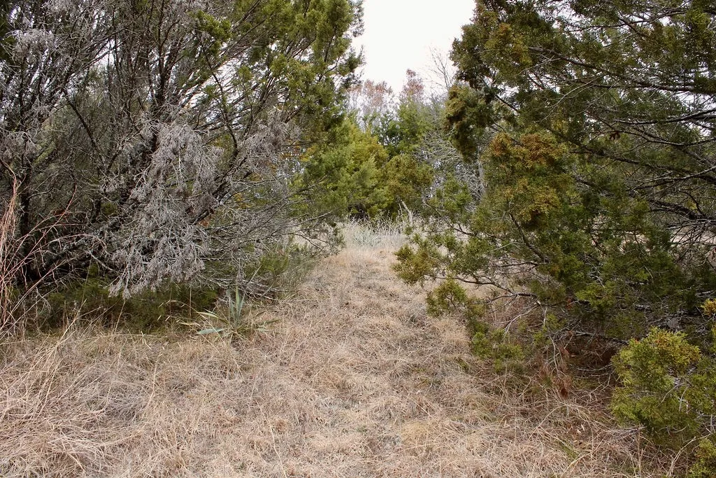View of nature