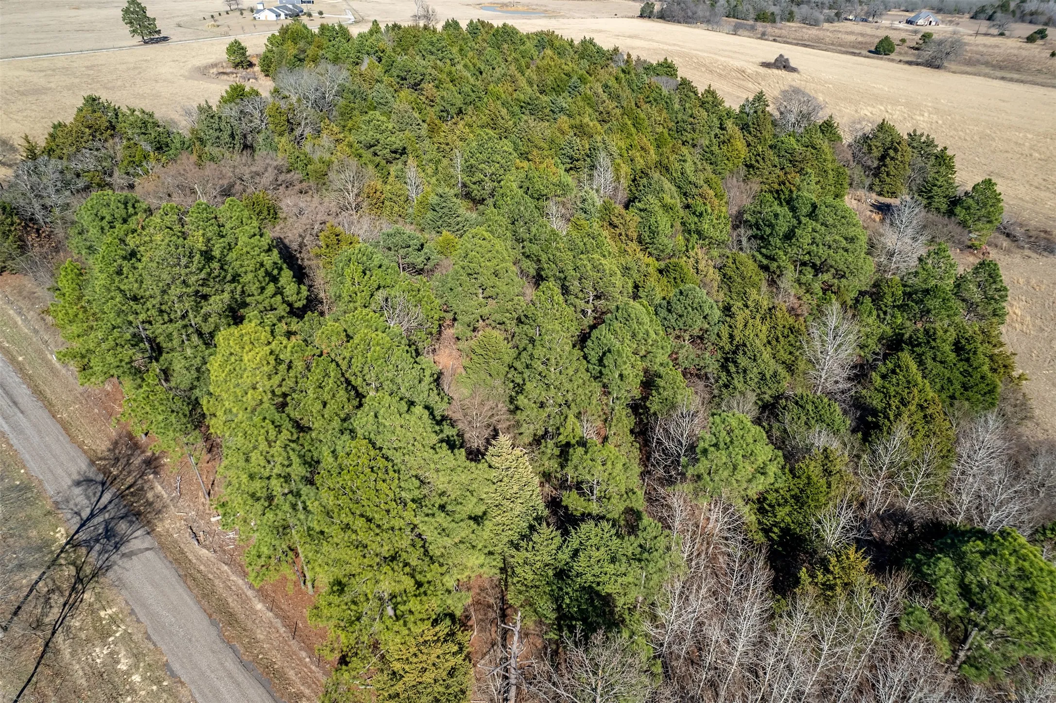 Unimproved Land For Sale in Van Zandt County , TBD FM 2339, Murchison, Texas 75778, 0, 0, Garage spaces, 0 Sqft, built in 0, Price $370,000, mls#21185788, Real Estate Agent in Murchison, Homes For Sale in Van Zandt county, Homes For Sale in Murchison, Realtor in Murchison Texas, Real Estate Brokerage Independent Realty Texas, Luminita Cordes Realtor