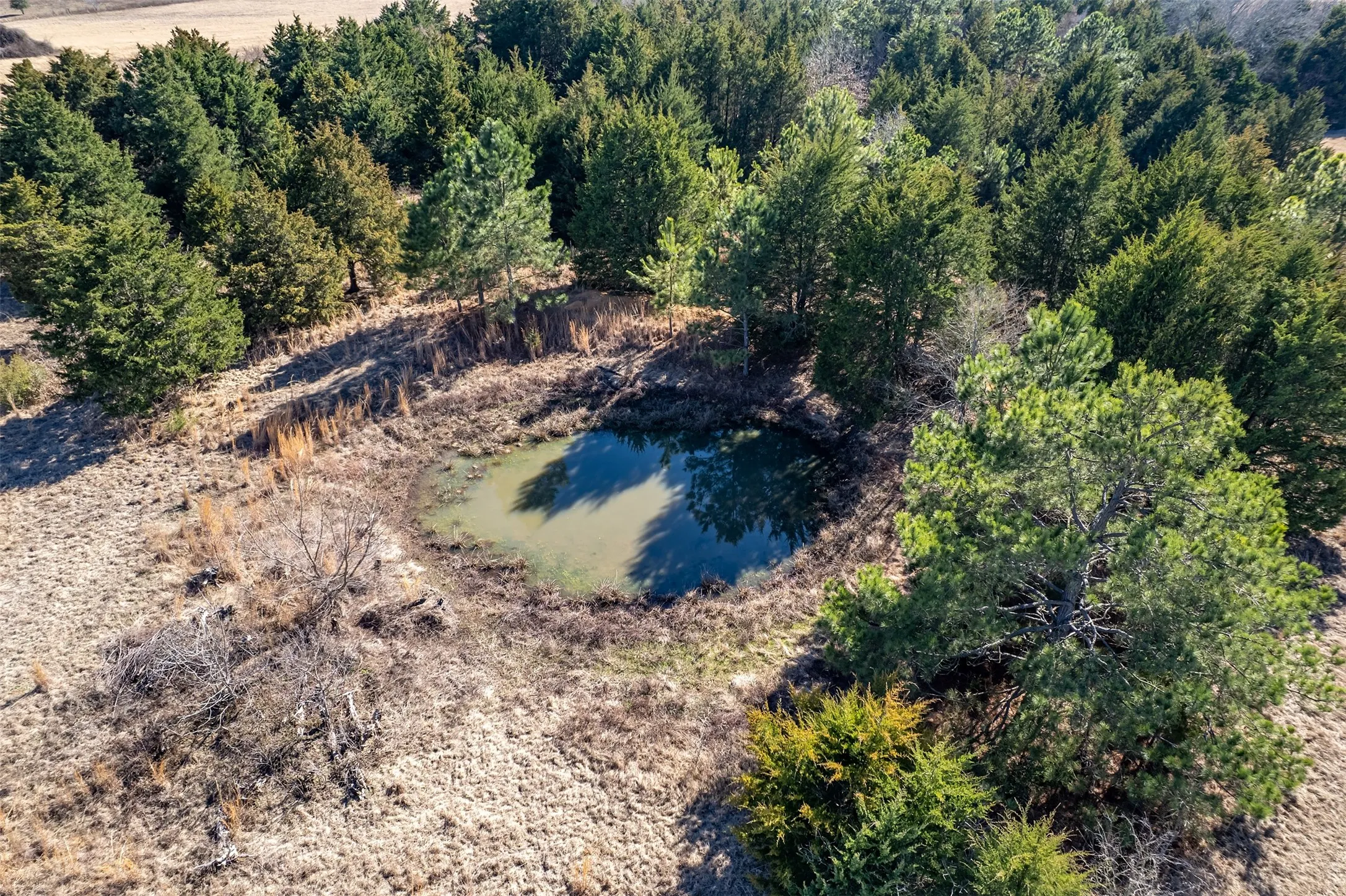 Unimproved Land For Sale in Van Zandt County , TBD FM 2339, Murchison, Texas 75778, 0, 0, Garage spaces, 0 Sqft, built in 0, Price $370,000, mls#21185788, Real Estate Agent in Murchison, Homes For Sale in Van Zandt county, Homes For Sale in Murchison, Realtor in Murchison Texas, Real Estate Brokerage Independent Realty Texas, Luminita Cordes Realtor