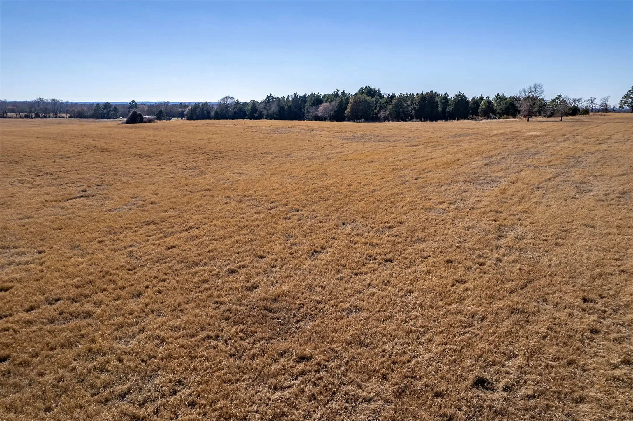 Unimproved Land For Sale in Van Zandt County , TBD FM 2339, Murchison, Texas 75778, 0, 0, Garage spaces, 0 Sqft, built in 0, Price $370,000, mls#21185788, Real Estate Agent in Murchison, Homes For Sale in Van Zandt county, Homes For Sale in Murchison, Realtor in Murchison Texas, Real Estate Brokerage Independent Realty Texas, Luminita Cordes Realtor