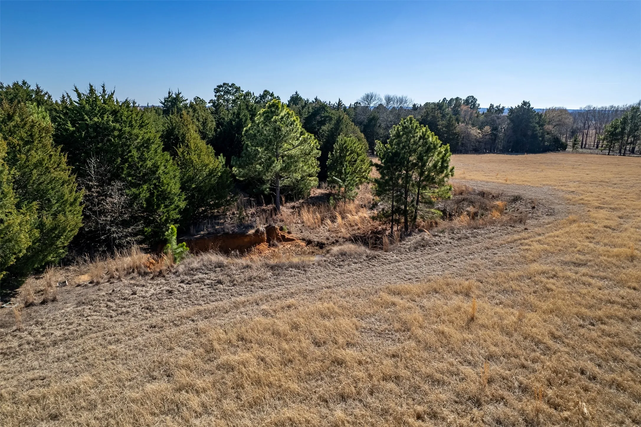 Unimproved Land For Sale in Van Zandt County , TBD FM 2339, Murchison, Texas 75778, 0, 0, Garage spaces, 0 Sqft, built in 0, Price $370,000, mls#21185788, Real Estate Agent in Murchison, Homes For Sale in Van Zandt county, Homes For Sale in Murchison, Realtor in Murchison Texas, Real Estate Brokerage Independent Realty Texas, Luminita Cordes Realtor