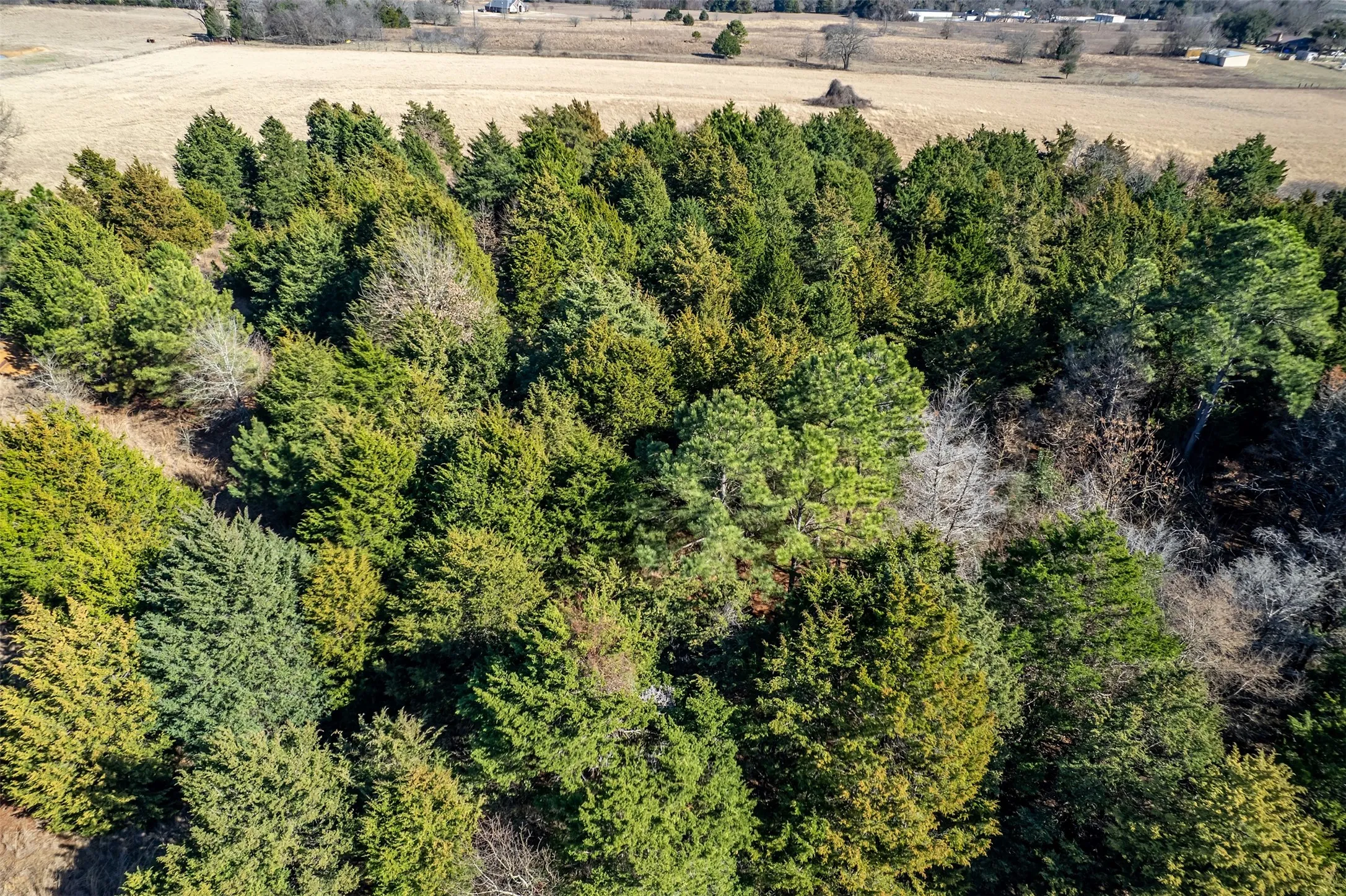Unimproved Land For Sale in Van Zandt County , TBD FM 2339, Murchison, Texas 75778, 0, 0, Garage spaces, 0 Sqft, built in 0, Price $370,000, mls#21185788, Real Estate Agent in Murchison, Homes For Sale in Van Zandt county, Homes For Sale in Murchison, Realtor in Murchison Texas, Real Estate Brokerage Independent Realty Texas, Luminita Cordes Realtor