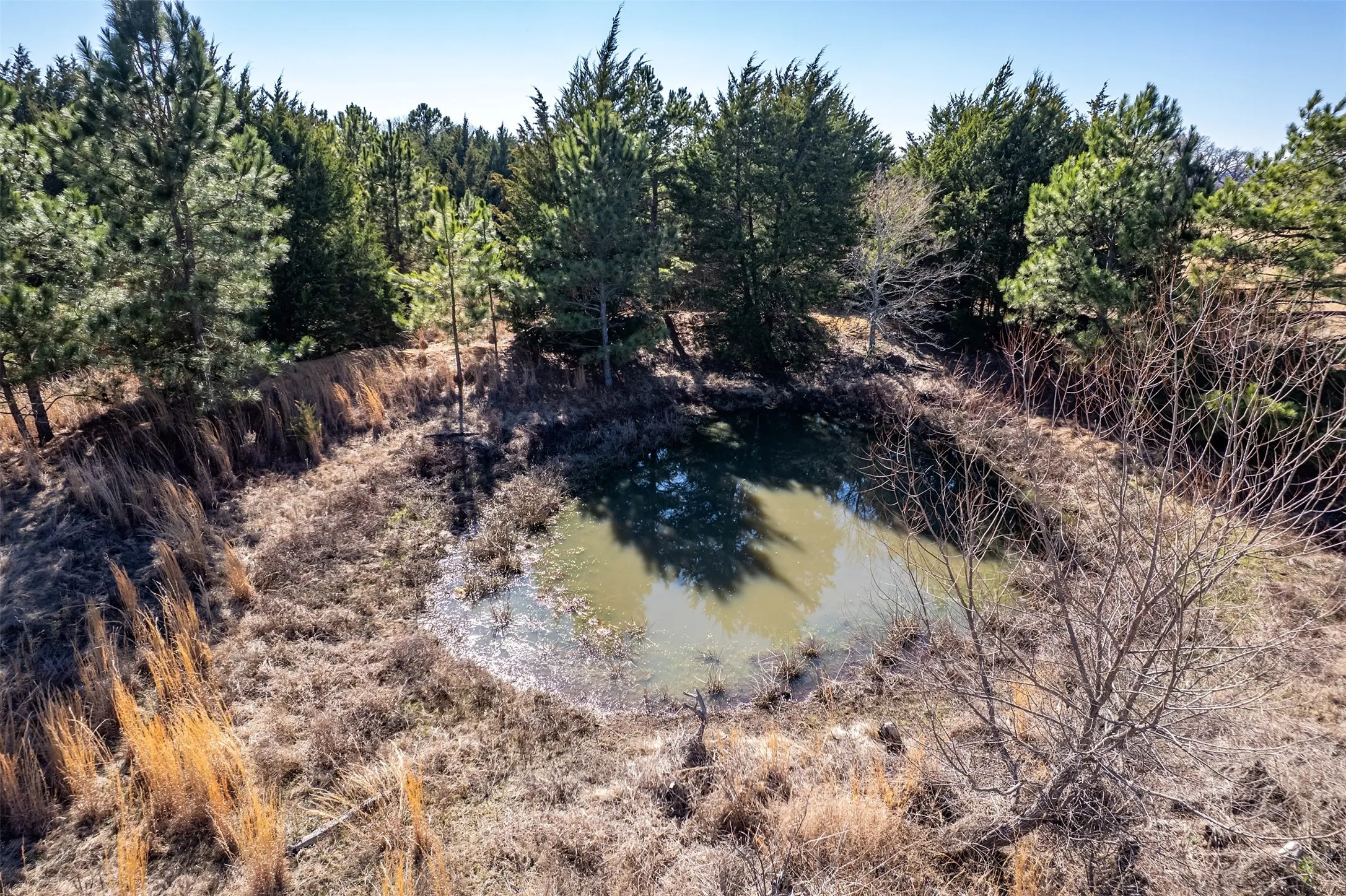 Unimproved Land For Sale in Van Zandt County , TBD FM 2339, Murchison, Texas 75778, 0, 0, Garage spaces, 0 Sqft, built in 0, Price $370,000, mls#21185788, Real Estate Agent in Murchison, Homes For Sale in Van Zandt county, Homes For Sale in Murchison, Realtor in Murchison Texas, Real Estate Brokerage Independent Realty Texas, Luminita Cordes Realtor
