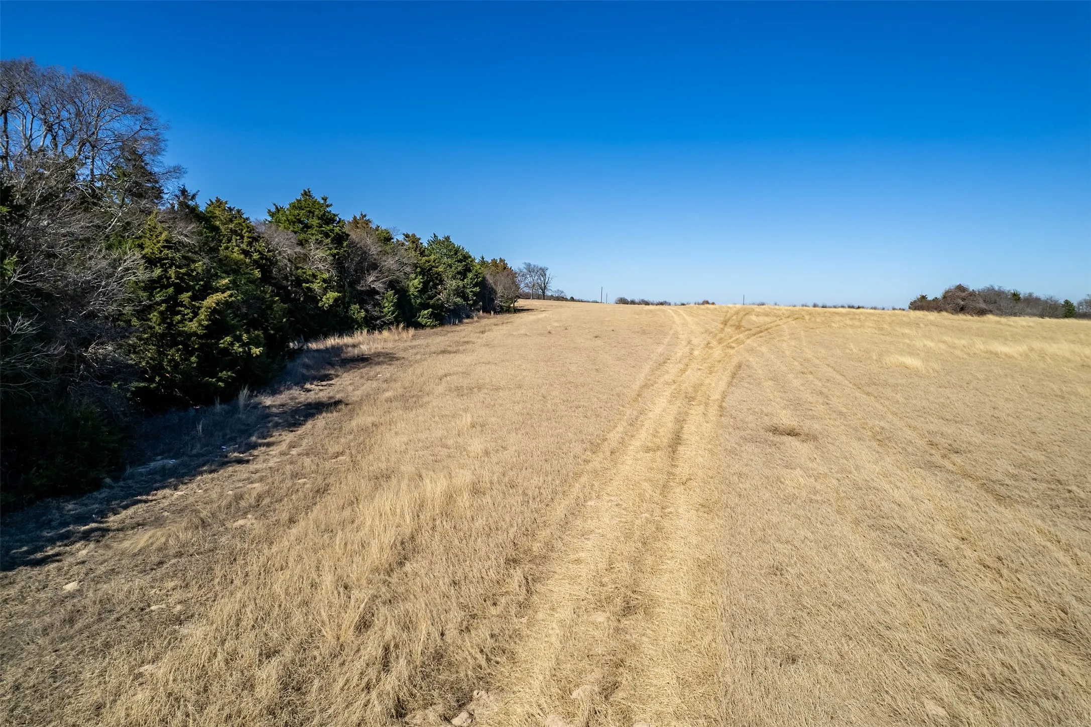 Unimproved Land For Sale in Van Zandt County , TBD FM 2339, Murchison, Texas 75778, 0, 0, Garage spaces, 0 Sqft, built in 0, Price $370,000, mls#21185788, Real Estate Agent in Murchison, Homes For Sale in Van Zandt county, Homes For Sale in Murchison, Realtor in Murchison Texas, Real Estate Brokerage Independent Realty Texas, Luminita Cordes Realtor