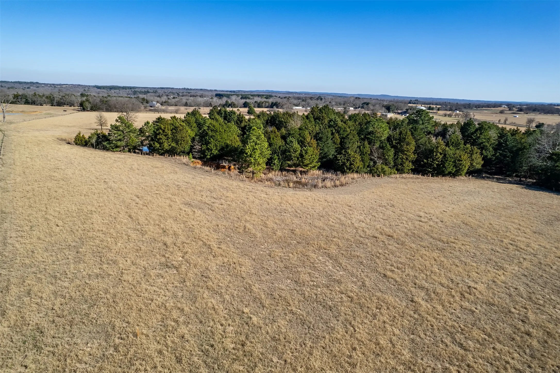 Unimproved Land For Sale in Van Zandt County , TBD FM 2339, Murchison, Texas 75778, 0, 0, Garage spaces, 0 Sqft, built in 0, Price $370,000, mls#21185788, Real Estate Agent in Murchison, Homes For Sale in Van Zandt county, Homes For Sale in Murchison, Realtor in Murchison Texas, Real Estate Brokerage Independent Realty Texas, Luminita Cordes Realtor