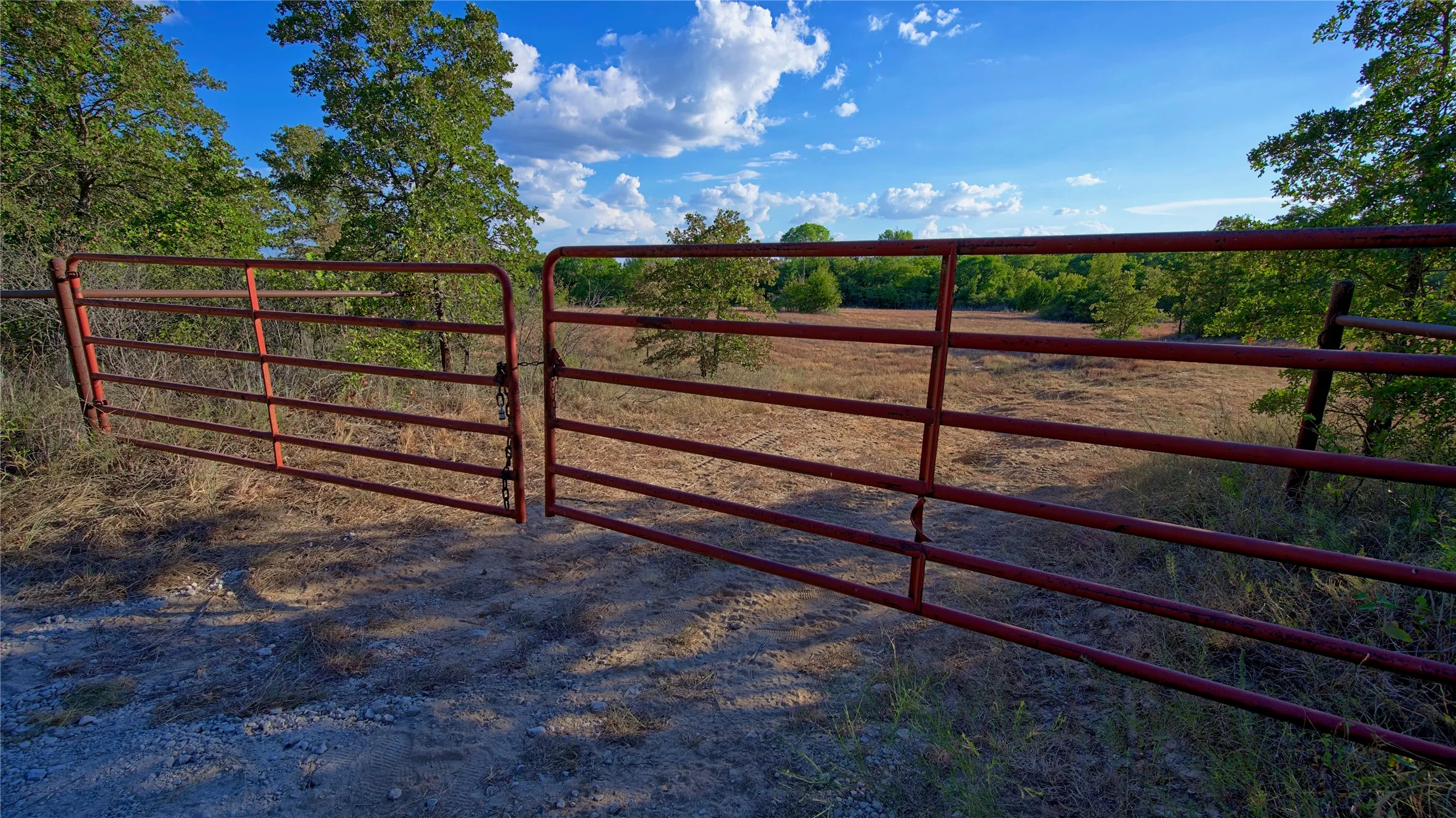 Ranch For Sale in Montague County , 0 Deen Road, Bowie, Texas 76230, 0, 0, Garage spaces, 0 Sqft, built in 0, mls#21185849, Real Estate Agent in Bowie, Homes For Sale in Montague county, Homes For Sale in Bowie, Realtor in Bowie Texas, Real Estate Brokerage Independent Realty Texas, Luminita Cordes Realtor