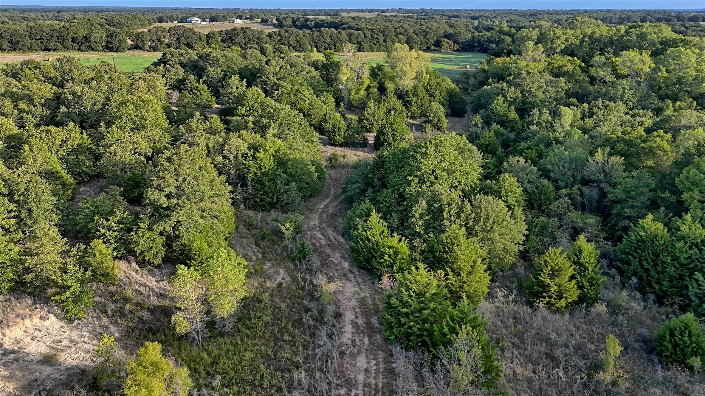 Ranch For Sale in Montague County , 0 Deen Road, Bowie, Texas 76230, 0, 0, Garage spaces, 0 Sqft, built in 0, mls#21185849, Real Estate Agent in Bowie, Homes For Sale in Montague county, Homes For Sale in Bowie, Realtor in Bowie Texas, Real Estate Brokerage Independent Realty Texas, Luminita Cordes Realtor