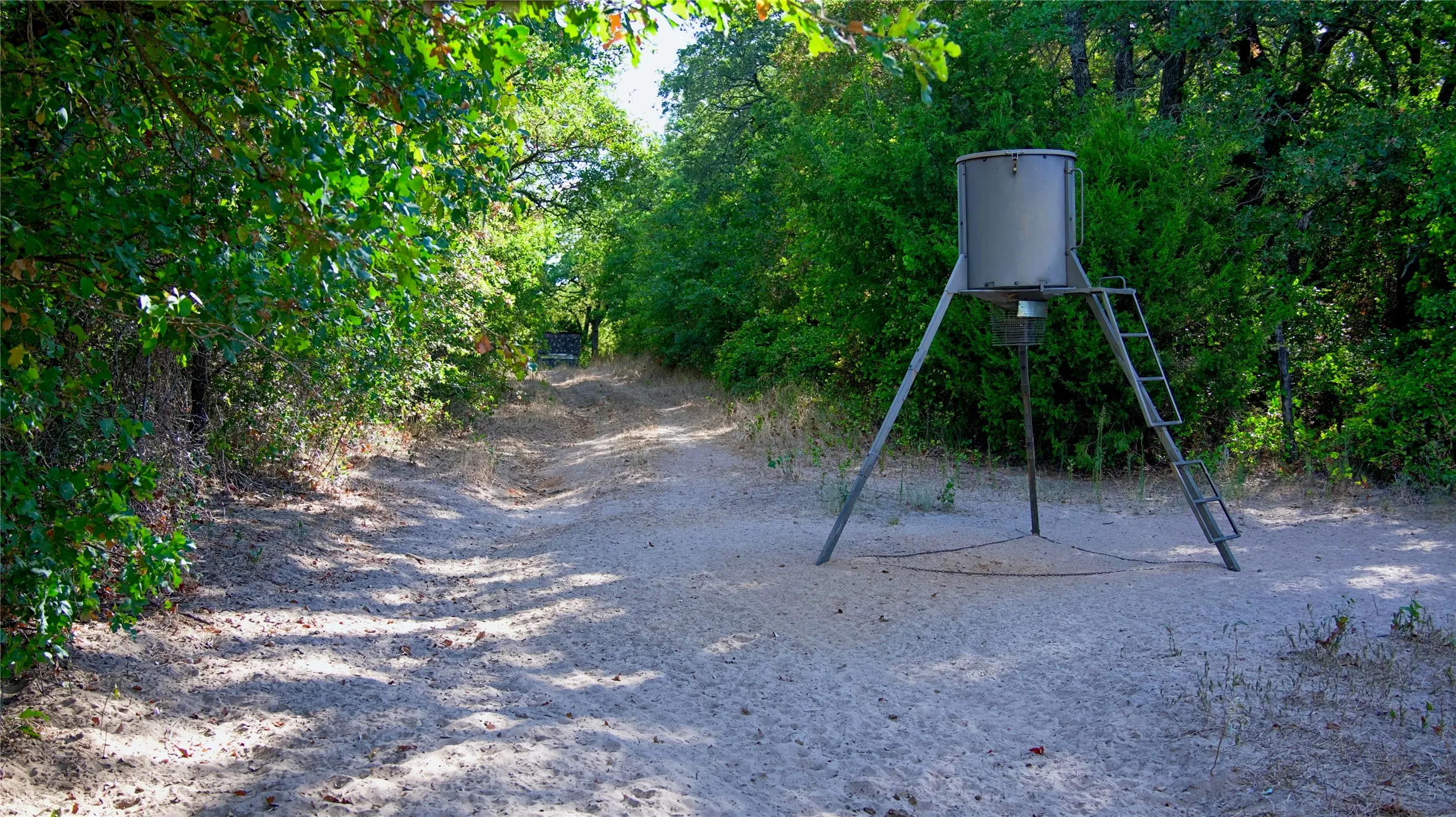 Ranch For Sale in Montague County , 0 Deen Road, Bowie, Texas 76230, 0, 0, Garage spaces, 0 Sqft, built in 0, mls#21185849, Real Estate Agent in Bowie, Homes For Sale in Montague county, Homes For Sale in Bowie, Realtor in Bowie Texas, Real Estate Brokerage Independent Realty Texas, Luminita Cordes Realtor