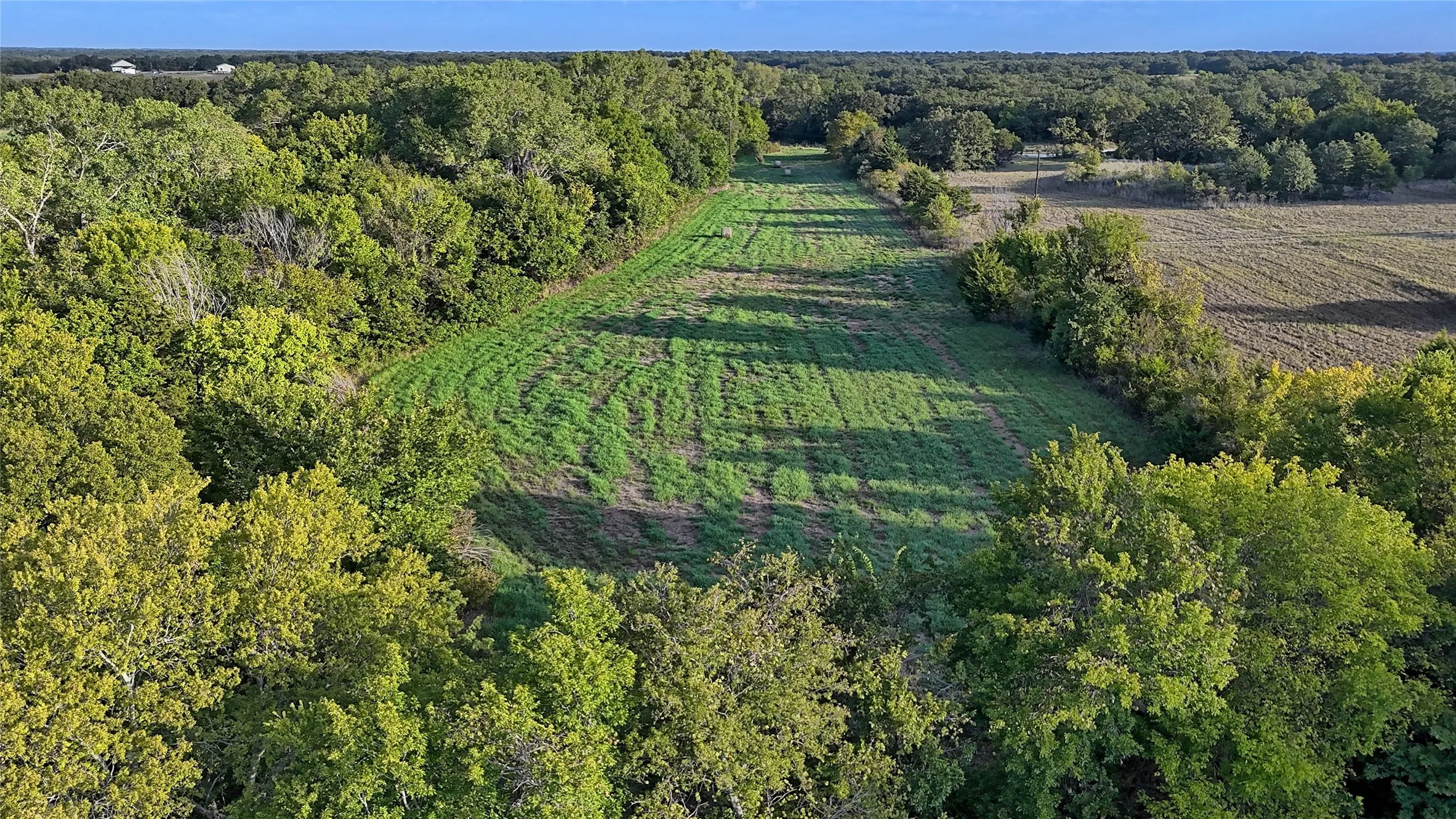 Ranch For Sale in Montague County , 0 Deen Road, Bowie, Texas 76230, 0, 0, Garage spaces, 0 Sqft, built in 0, mls#21185849, Real Estate Agent in Bowie, Homes For Sale in Montague county, Homes For Sale in Bowie, Realtor in Bowie Texas, Real Estate Brokerage Independent Realty Texas, Luminita Cordes Realtor