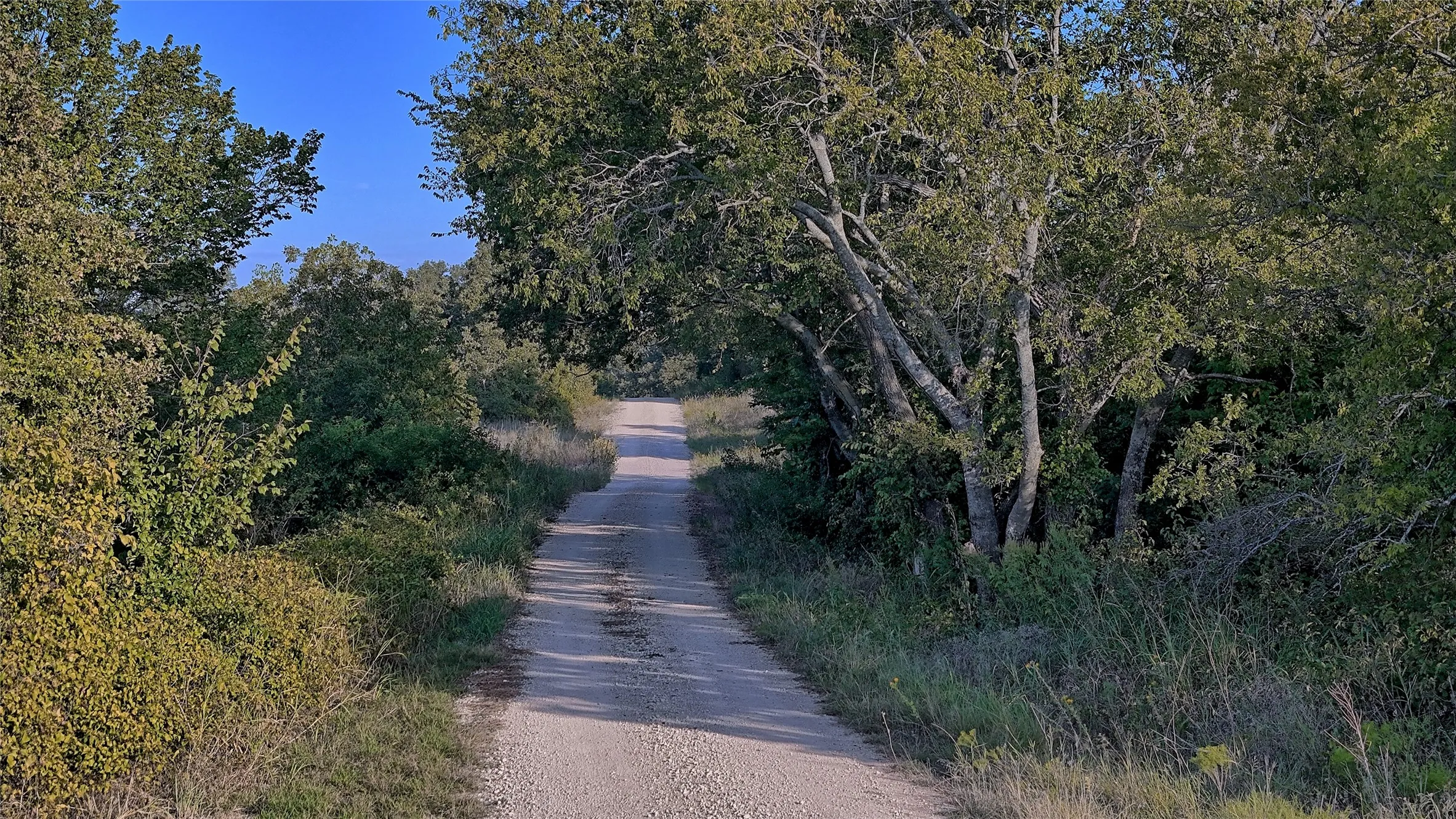 Ranch For Sale in Montague County , 0 Deen Road, Bowie, Texas 76230, 0, 0, Garage spaces, 0 Sqft, built in 0, mls#21185849, Real Estate Agent in Bowie, Homes For Sale in Montague county, Homes For Sale in Bowie, Realtor in Bowie Texas, Real Estate Brokerage Independent Realty Texas, Luminita Cordes Realtor