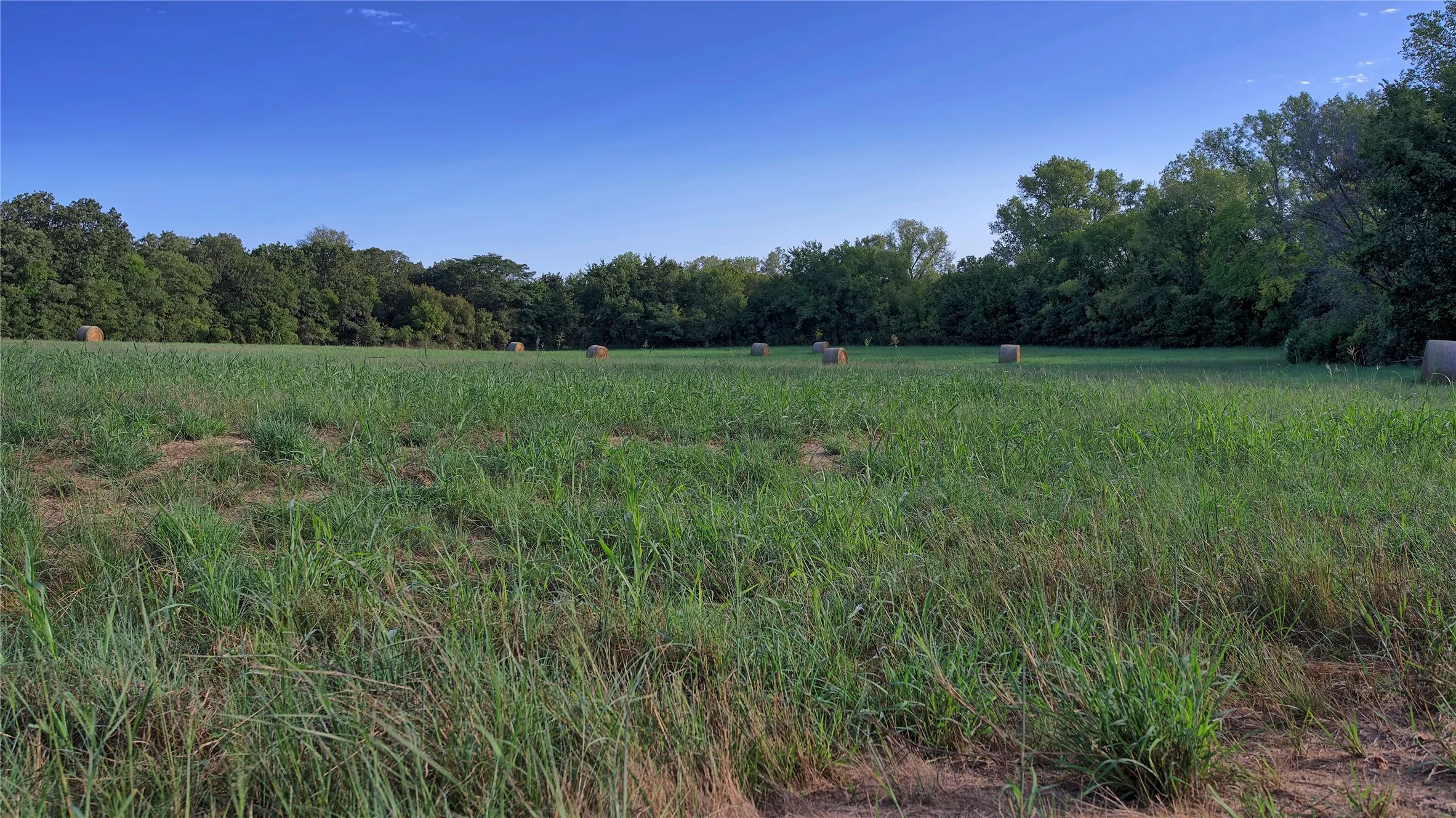 Ranch For Sale in Montague County , 0 Deen Road, Bowie, Texas 76230, 0, 0, Garage spaces, 0 Sqft, built in 0, mls#21185849, Real Estate Agent in Bowie, Homes For Sale in Montague county, Homes For Sale in Bowie, Realtor in Bowie Texas, Real Estate Brokerage Independent Realty Texas, Luminita Cordes Realtor