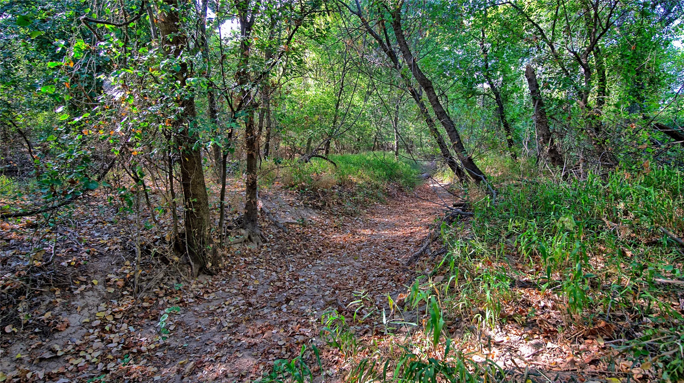 Ranch For Sale in Montague County , 0 Deen Road, Bowie, Texas 76230, 0, 0, Garage spaces, 0 Sqft, built in 0, mls#21185849, Real Estate Agent in Bowie, Homes For Sale in Montague county, Homes For Sale in Bowie, Realtor in Bowie Texas, Real Estate Brokerage Independent Realty Texas, Luminita Cordes Realtor