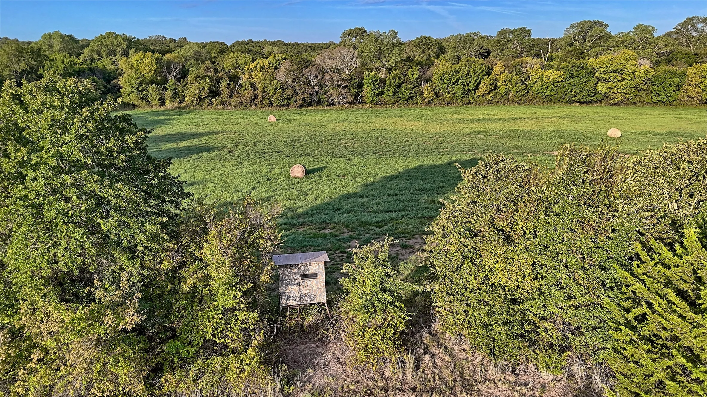 Ranch For Sale in Montague County , 0 Deen Road, Bowie, Texas 76230, 0, 0, Garage spaces, 0 Sqft, built in 0, mls#21185849, Real Estate Agent in Bowie, Homes For Sale in Montague county, Homes For Sale in Bowie, Realtor in Bowie Texas, Real Estate Brokerage Independent Realty Texas, Luminita Cordes Realtor