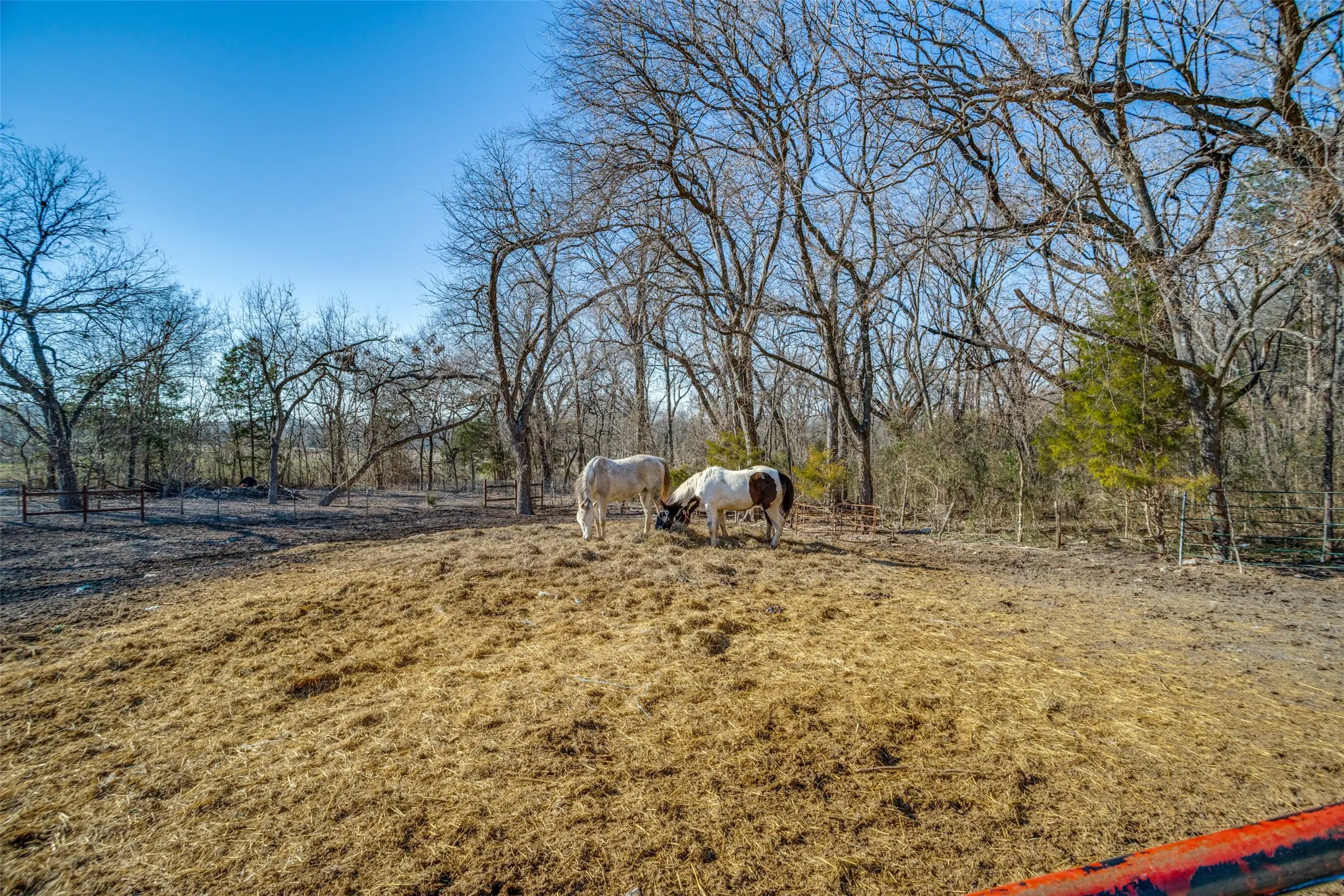 Improved Land For Sale in Collin County , 2111 Private Road 5499, Mc Kinney, Texas 75071, 0, 0, Garage spaces, 0 Sqft, built in 0, Price $590,000, mls#21182779, Real Estate Agent in Mc Kinney, Homes For Sale in Collin county, Homes For Sale in Mc Kinney, Realtor in Mc Kinney Texas, Real Estate Brokerage Independent Realty Texas, Luminita Cordes Realtor