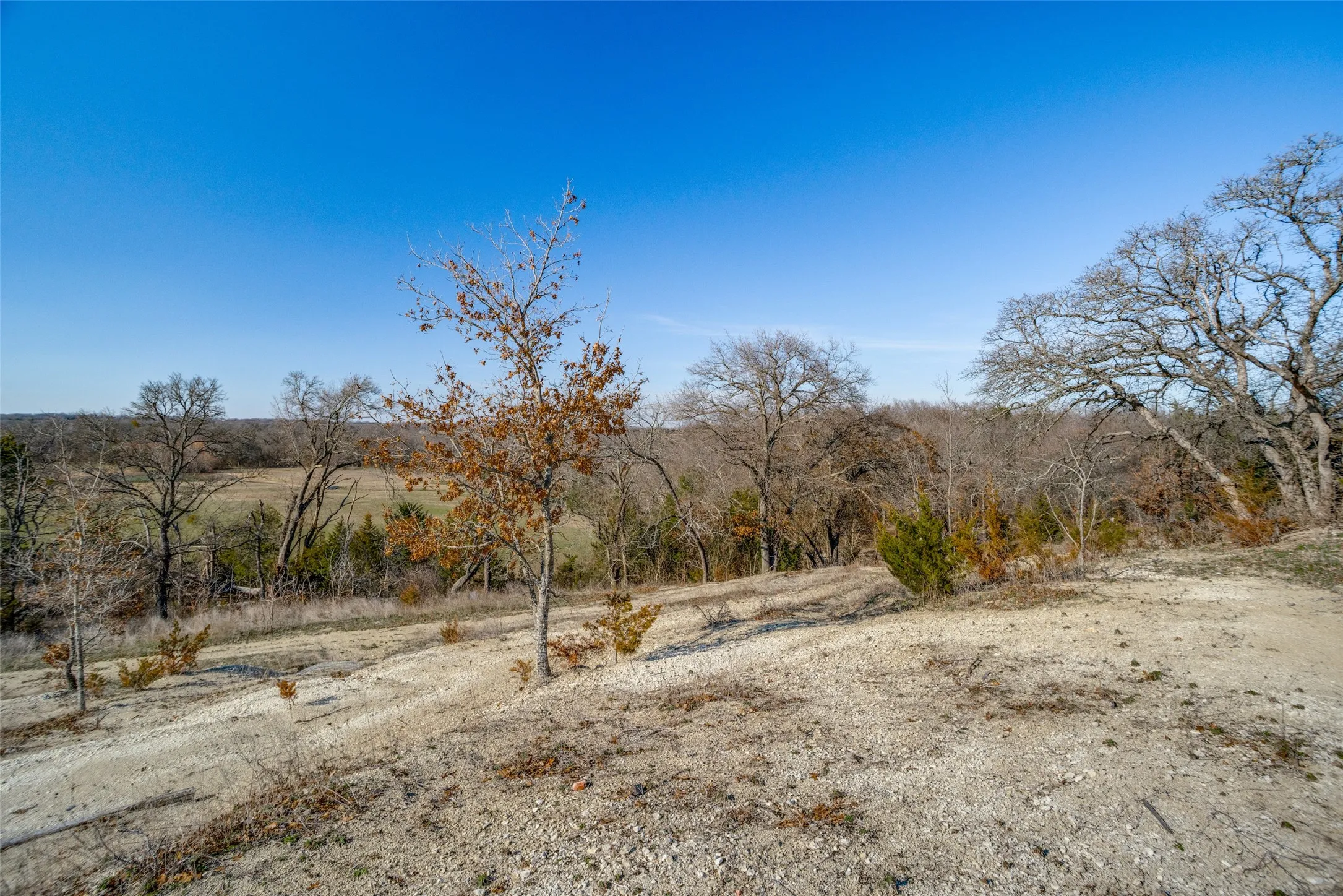 Improved Land For Sale in Collin County , 2111 Private Road 5499, Mc Kinney, Texas 75071, 0, 0, Garage spaces, 0 Sqft, built in 0, Price $590,000, mls#21182779, Real Estate Agent in Mc Kinney, Homes For Sale in Collin county, Homes For Sale in Mc Kinney, Realtor in Mc Kinney Texas, Real Estate Brokerage Independent Realty Texas, Luminita Cordes Realtor