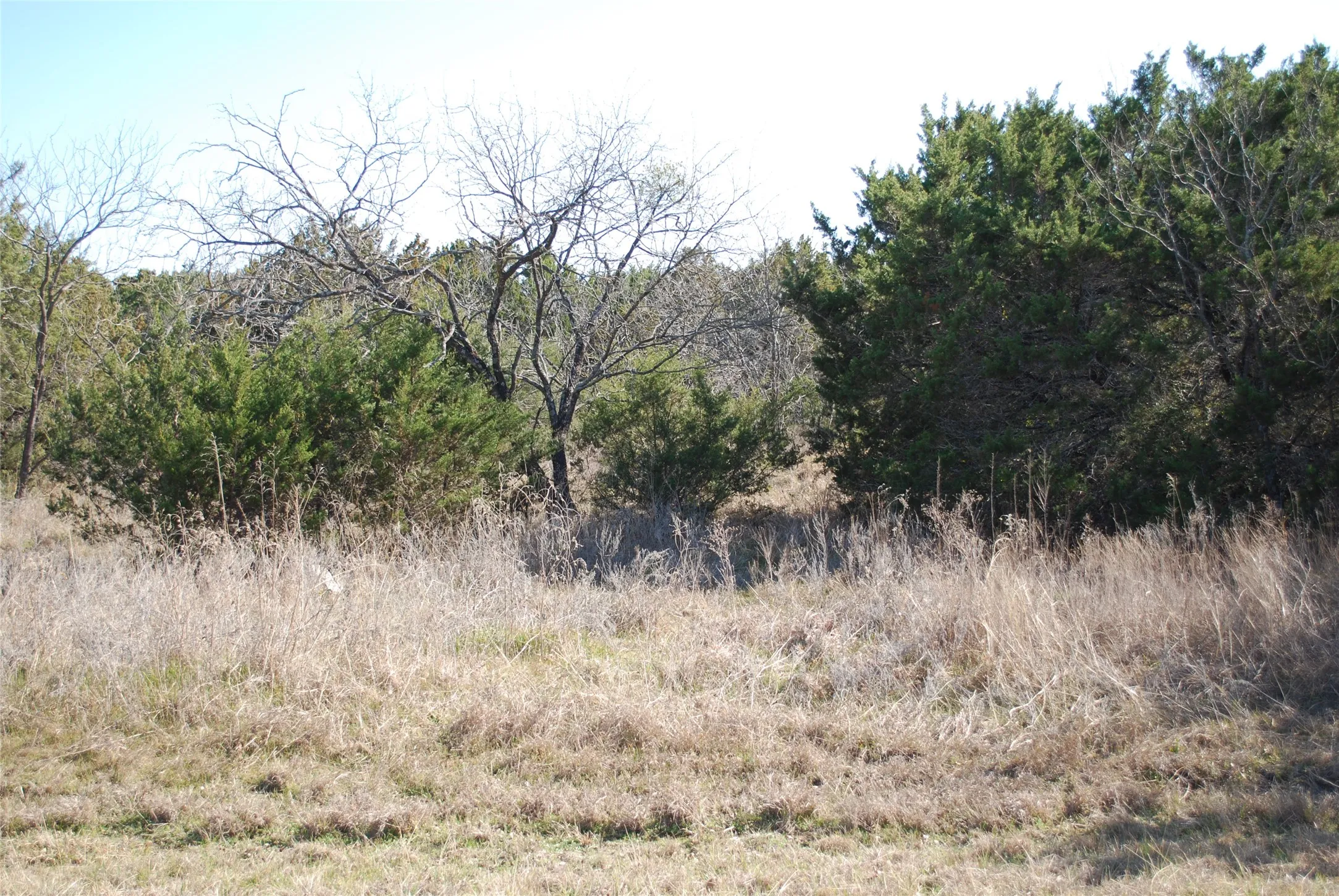 Unimproved Land For Sale in Hill County , 43130 Mountain Sage Drive, Whitney, Texas 76692, 0, 0, Garage spaces, 0 Sqft, built in 0, Price $10,000, mls#21185930, Real Estate Agent in Whitney, Homes For Sale in Hill county, Homes For Sale in Whitney, Realtor in Whitney Texas, Real Estate Brokerage Independent Realty Texas, Luminita Cordes Realtor