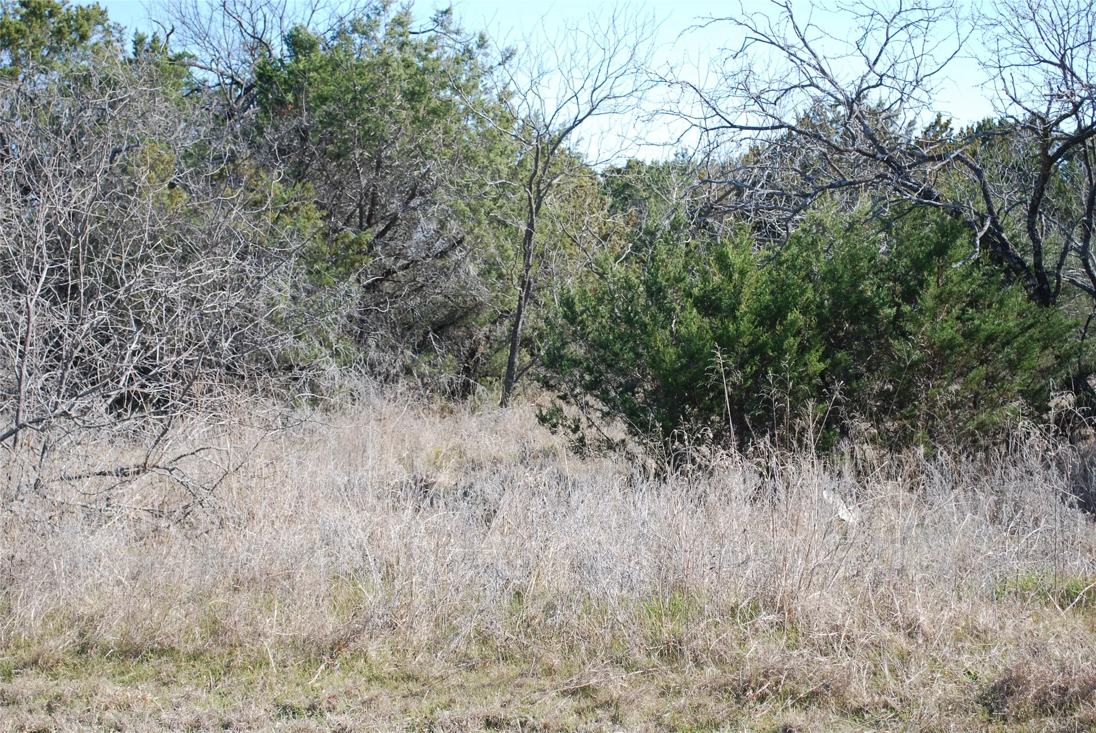 Unimproved Land For Sale in Hill County , 43130 Mountain Sage Drive, Whitney, Texas 76692, 0, 0, Garage spaces, 0 Sqft, built in 0, Price $10,000, mls#21185930, Real Estate Agent in Whitney, Homes For Sale in Hill county, Homes For Sale in Whitney, Realtor in Whitney Texas, Real Estate Brokerage Independent Realty Texas, Luminita Cordes Realtor