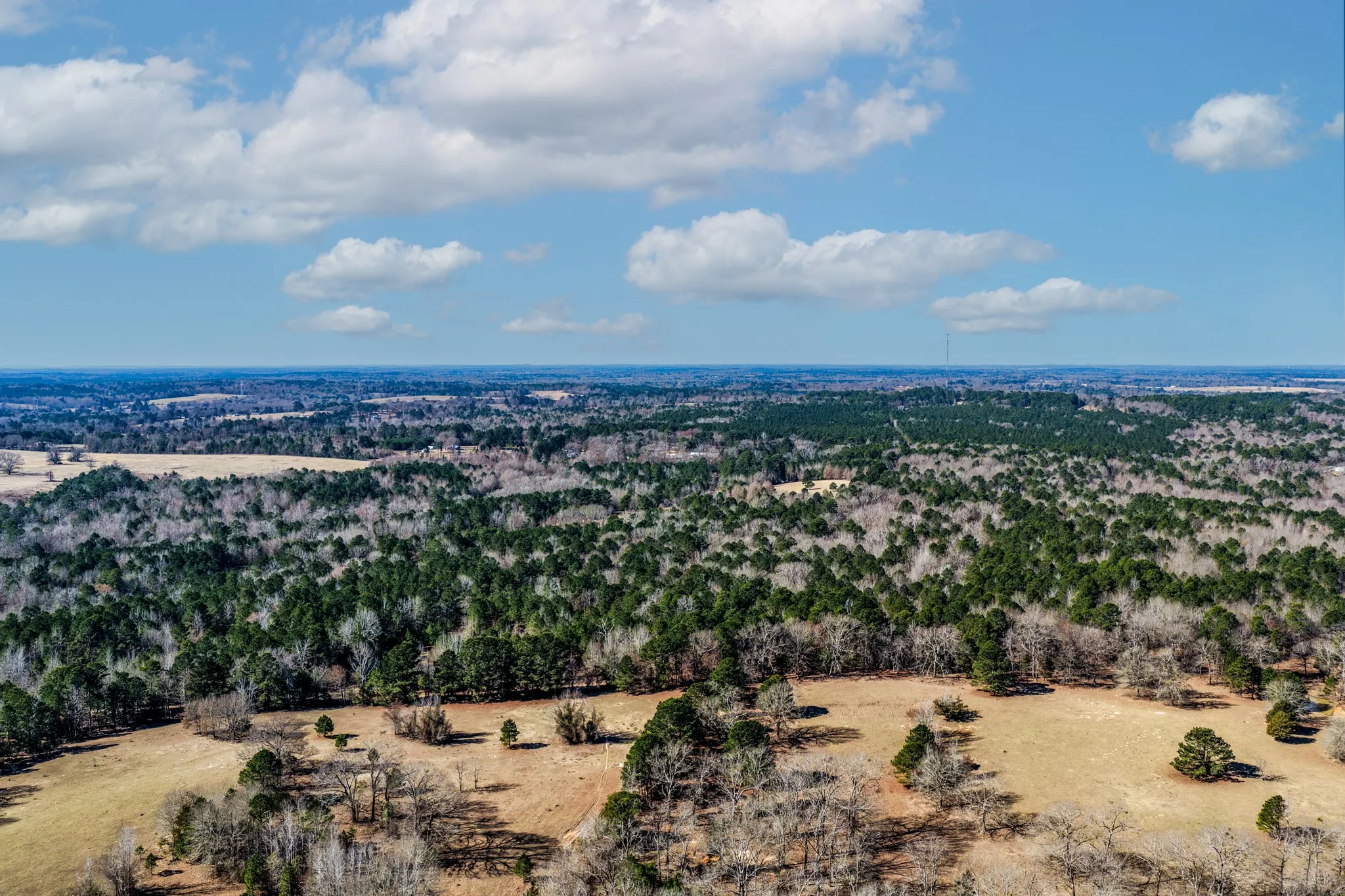 Unimproved Land For Sale in Smith County , 1609 C R 246 S, Tyler, Texas 75705, 0, 0, Garage spaces, 0 Sqft, built in 0, Price $995,000, mls#21182347, Real Estate Agent in Tyler, Homes For Sale in Smith county, Homes For Sale in Tyler, Realtor in Tyler Texas, Real Estate Brokerage Independent Realty Texas, Luminita Cordes Realtor