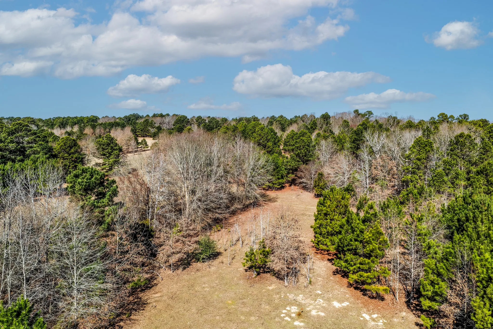 Unimproved Land For Sale in Smith County , 1609 C R 246 S, Tyler, Texas 75705, 0, 0, Garage spaces, 0 Sqft, built in 0, Price $995,000, mls#21182347, Real Estate Agent in Tyler, Homes For Sale in Smith county, Homes For Sale in Tyler, Realtor in Tyler Texas, Real Estate Brokerage Independent Realty Texas, Luminita Cordes Realtor
