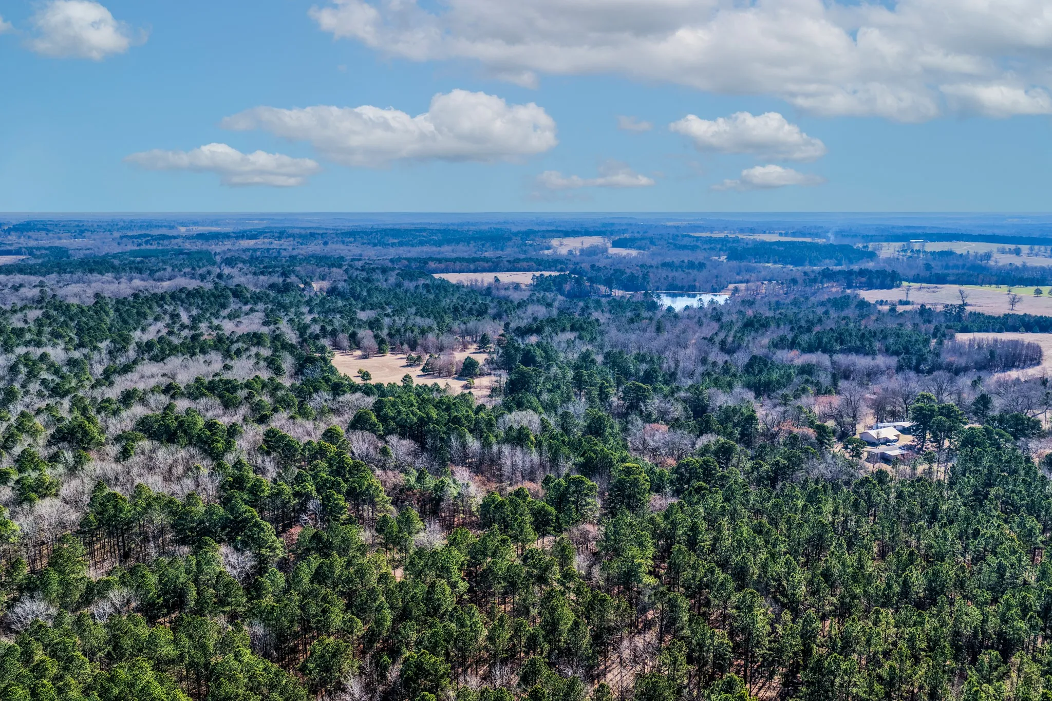 Unimproved Land For Sale in Smith County , 1609 C R 246 S, Tyler, Texas 75705, 0, 0, Garage spaces, 0 Sqft, built in 0, Price $995,000, mls#21182347, Real Estate Agent in Tyler, Homes For Sale in Smith county, Homes For Sale in Tyler, Realtor in Tyler Texas, Real Estate Brokerage Independent Realty Texas, Luminita Cordes Realtor