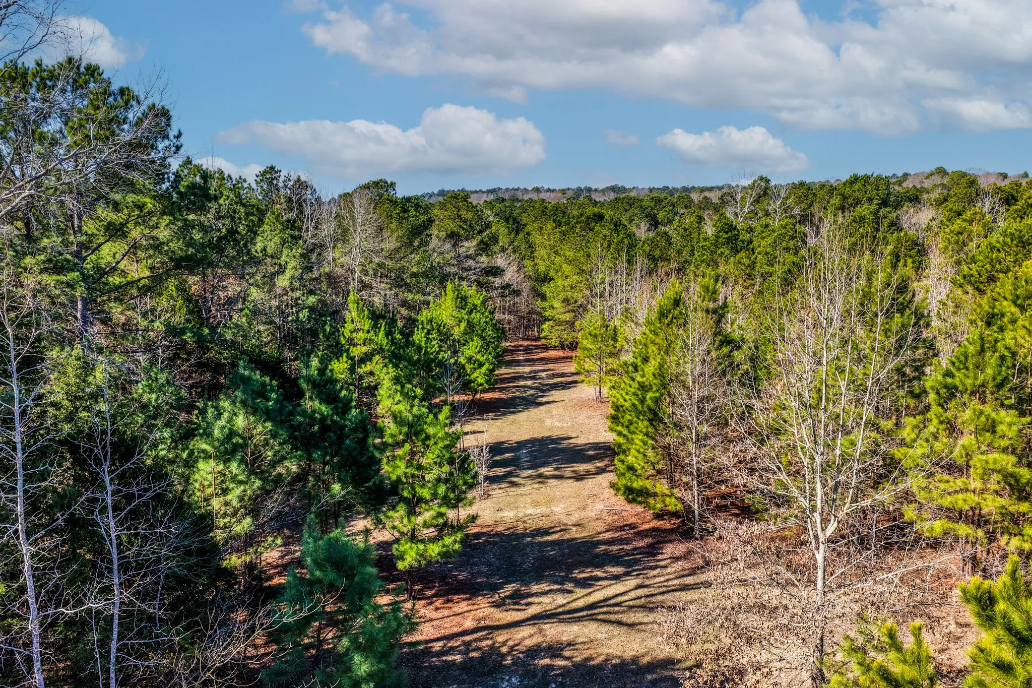 Unimproved Land For Sale in Smith County , 1609 C R 246 S, Tyler, Texas 75705, 0, 0, Garage spaces, 0 Sqft, built in 0, Price $995,000, mls#21182347, Real Estate Agent in Tyler, Homes For Sale in Smith county, Homes For Sale in Tyler, Realtor in Tyler Texas, Real Estate Brokerage Independent Realty Texas, Luminita Cordes Realtor