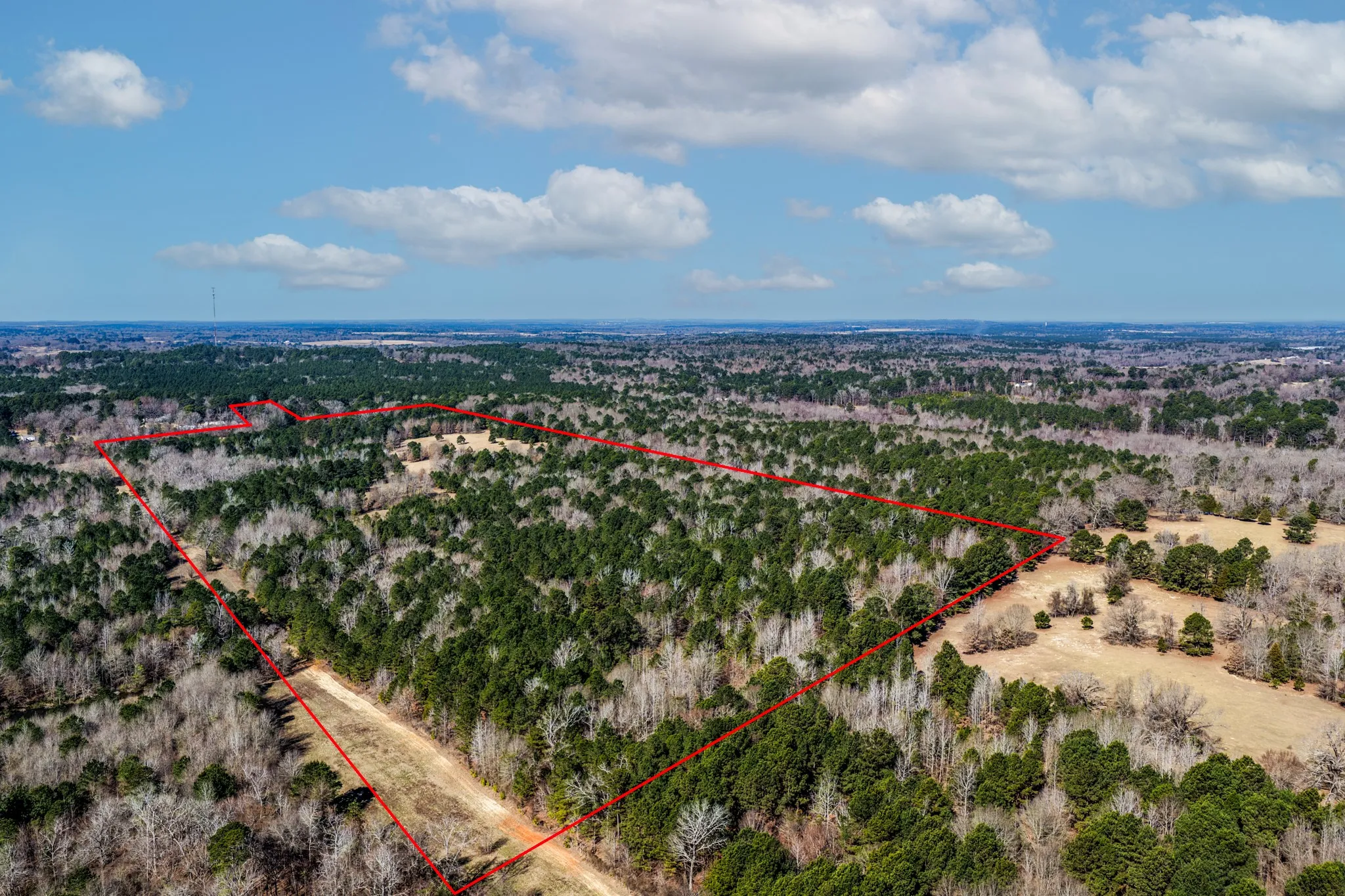 Unimproved Land For Sale in Smith County , 1609 C R 246 S, Tyler, Texas 75705, 0, 0, Garage spaces, 0 Sqft, built in 0, Price $995,000, mls#21182347, Real Estate Agent in Tyler, Homes For Sale in Smith county, Homes For Sale in Tyler, Realtor in Tyler Texas, Real Estate Brokerage Independent Realty Texas, Luminita Cordes Realtor