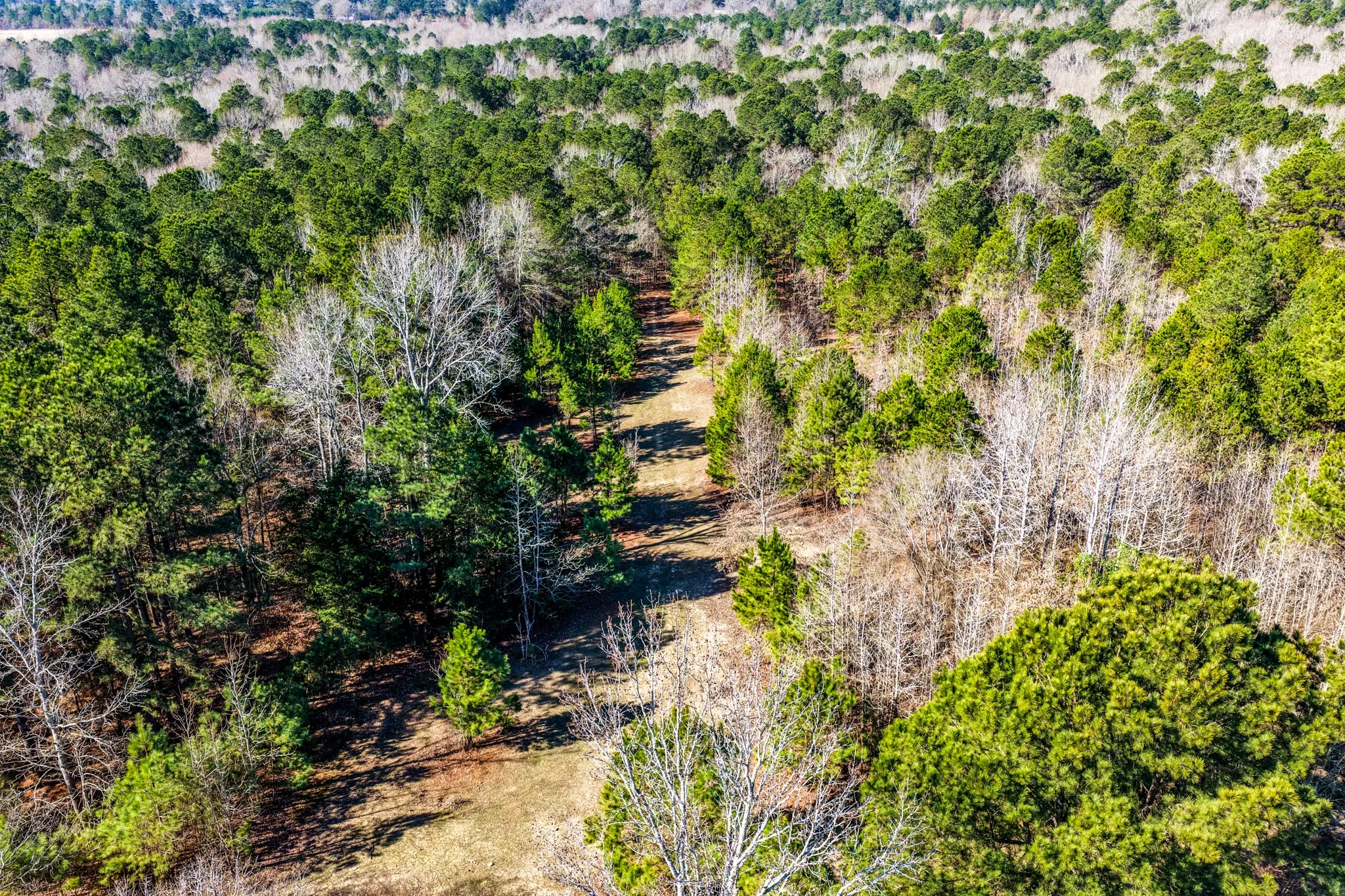 Unimproved Land For Sale in Smith County , 1609 C R 246 S, Tyler, Texas 75705, 0, 0, Garage spaces, 0 Sqft, built in 0, Price $995,000, mls#21182347, Real Estate Agent in Tyler, Homes For Sale in Smith county, Homes For Sale in Tyler, Realtor in Tyler Texas, Real Estate Brokerage Independent Realty Texas, Luminita Cordes Realtor