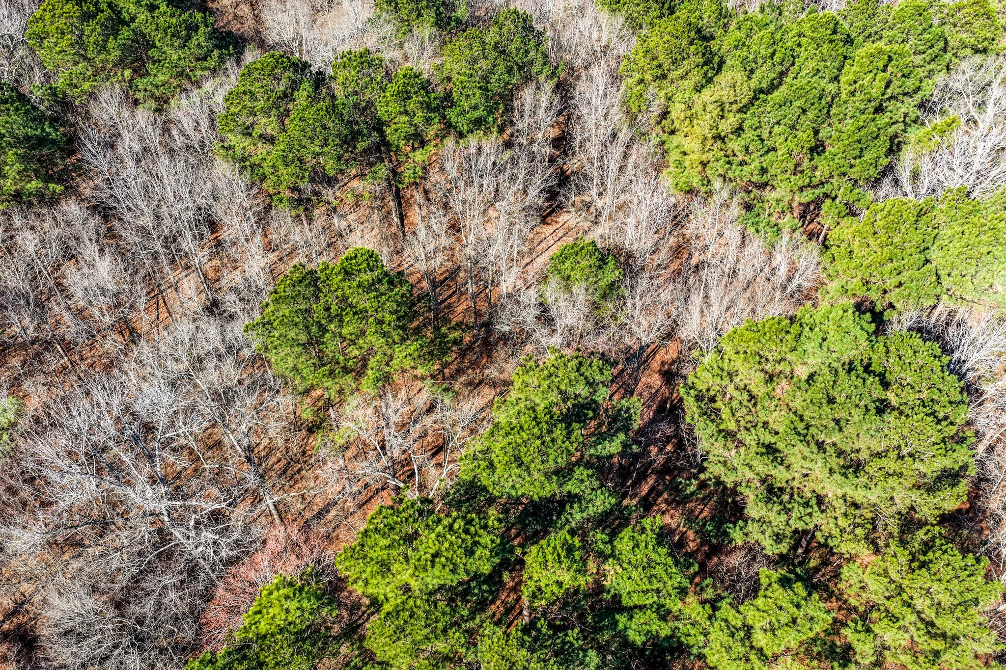 Unimproved Land For Sale in Smith County , 1609 C R 246 S, Tyler, Texas 75705, 0, 0, Garage spaces, 0 Sqft, built in 0, Price $995,000, mls#21182347, Real Estate Agent in Tyler, Homes For Sale in Smith county, Homes For Sale in Tyler, Realtor in Tyler Texas, Real Estate Brokerage Independent Realty Texas, Luminita Cordes Realtor