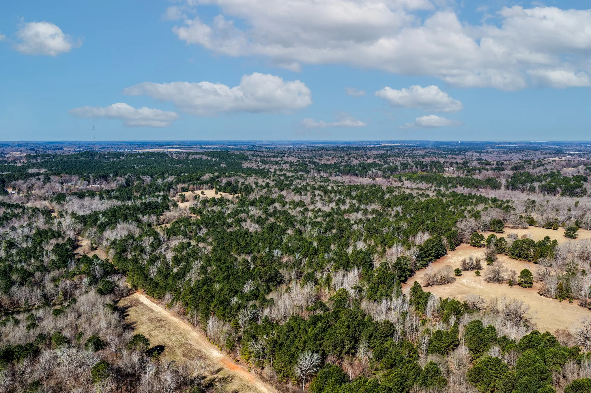 Unimproved Land For Sale in Smith County , 1609 C R 246 S, Tyler, Texas 75705, 0, 0, Garage spaces, 0 Sqft, built in 0, Price $995,000, mls#21182347, Real Estate Agent in Tyler, Homes For Sale in Smith county, Homes For Sale in Tyler, Realtor in Tyler Texas, Real Estate Brokerage Independent Realty Texas, Luminita Cordes Realtor