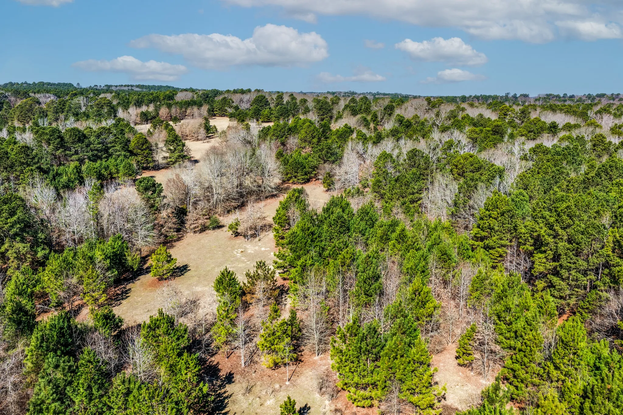 Unimproved Land For Sale in Smith County , 1609 C R 246 S, Tyler, Texas 75705, 0, 0, Garage spaces, 0 Sqft, built in 0, Price $995,000, mls#21182347, Real Estate Agent in Tyler, Homes For Sale in Smith county, Homes For Sale in Tyler, Realtor in Tyler Texas, Real Estate Brokerage Independent Realty Texas, Luminita Cordes Realtor
