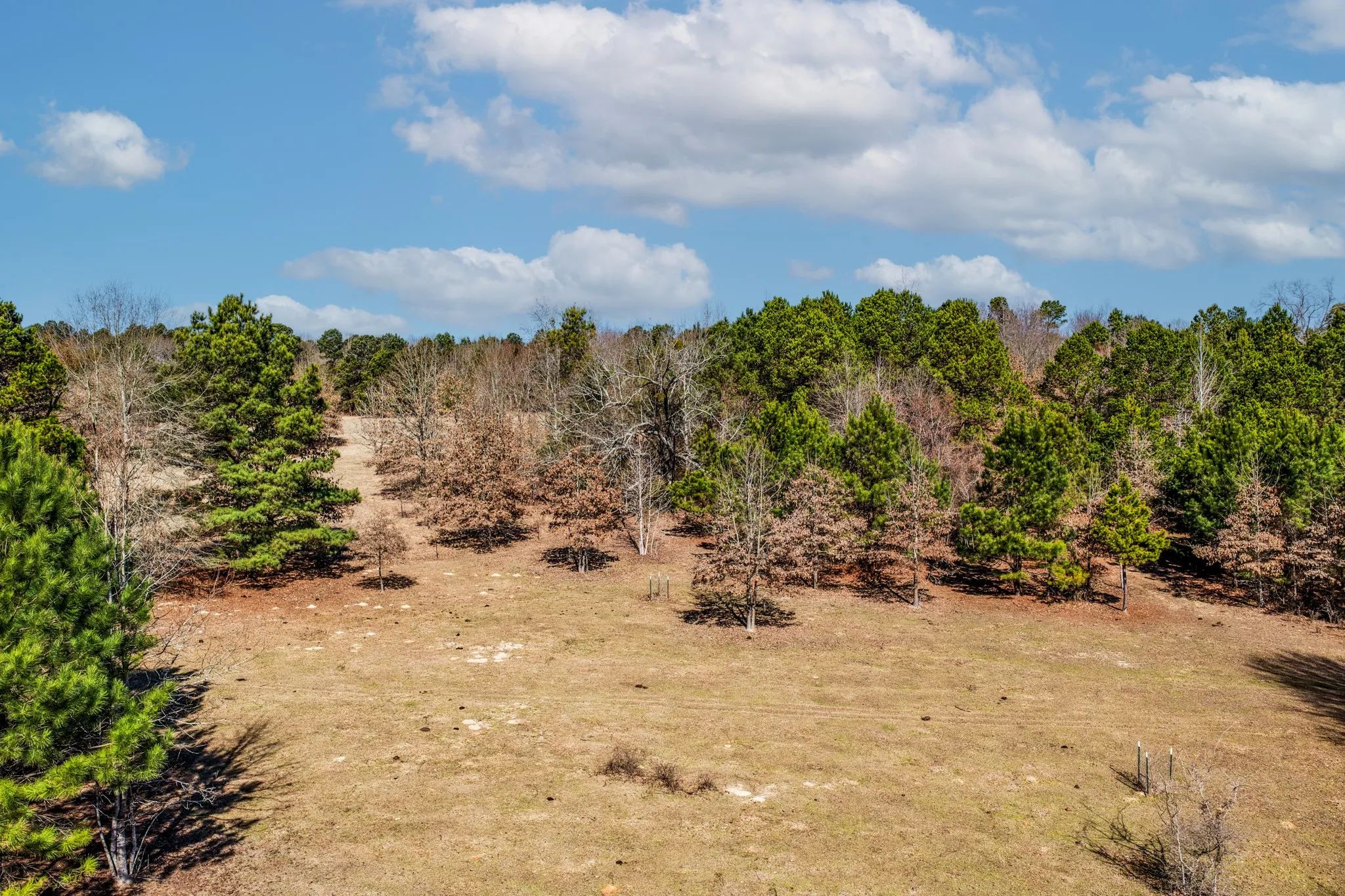 Unimproved Land For Sale in Smith County , 1609 C R 246 S, Tyler, Texas 75705, 0, 0, Garage spaces, 0 Sqft, built in 0, Price $995,000, mls#21182347, Real Estate Agent in Tyler, Homes For Sale in Smith county, Homes For Sale in Tyler, Realtor in Tyler Texas, Real Estate Brokerage Independent Realty Texas, Luminita Cordes Realtor