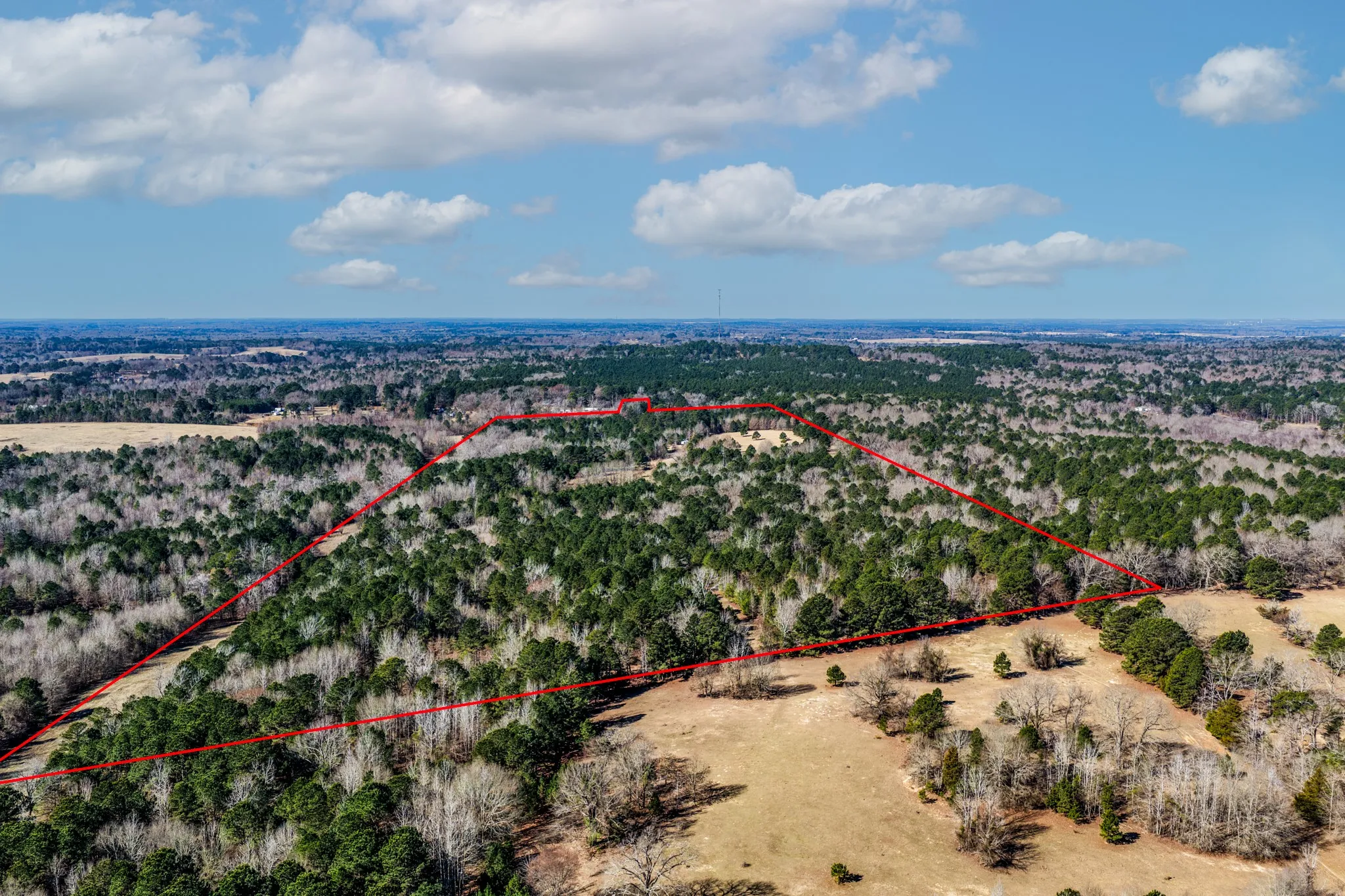 Unimproved Land For Sale in Smith County , 1609 C R 246 S, Tyler, Texas 75705, 0, 0, Garage spaces, 0 Sqft, built in 0, Price $995,000, mls#21182347, Real Estate Agent in Tyler, Homes For Sale in Smith county, Homes For Sale in Tyler, Realtor in Tyler Texas, Real Estate Brokerage Independent Realty Texas, Luminita Cordes Realtor