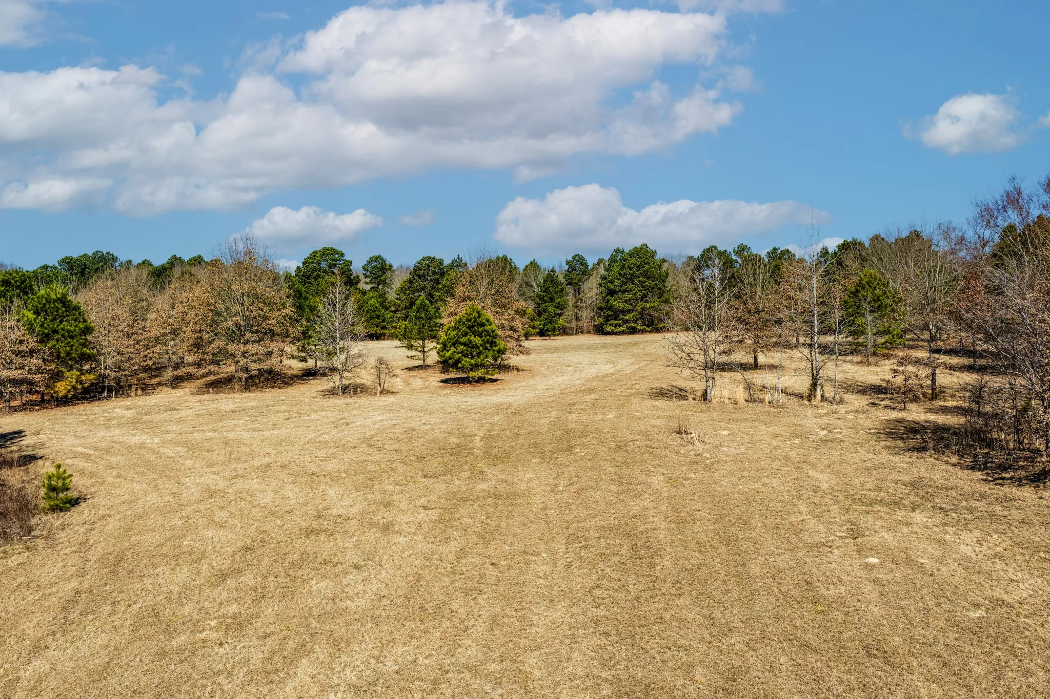Unimproved Land For Sale in Smith County , 1609 C R 246 S, Tyler, Texas 75705, 0, 0, Garage spaces, 0 Sqft, built in 0, Price $995,000, mls#21182347, Real Estate Agent in Tyler, Homes For Sale in Smith county, Homes For Sale in Tyler, Realtor in Tyler Texas, Real Estate Brokerage Independent Realty Texas, Luminita Cordes Realtor