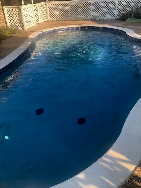 Photos provided by Owner showing Pool When Plants Have Bloomed