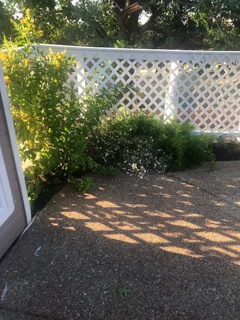 Photos provided by Owner showing Pool When Plants Have Bloomed