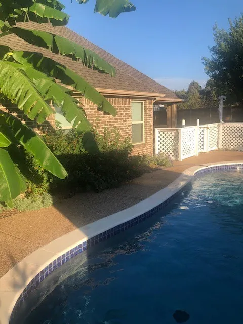Photos provided by Owner showing Pool When Plants Have Bloomed