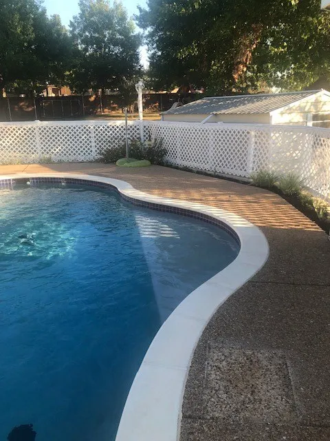 Photos provided by Owner showing Pool When Plants Have Bloomed