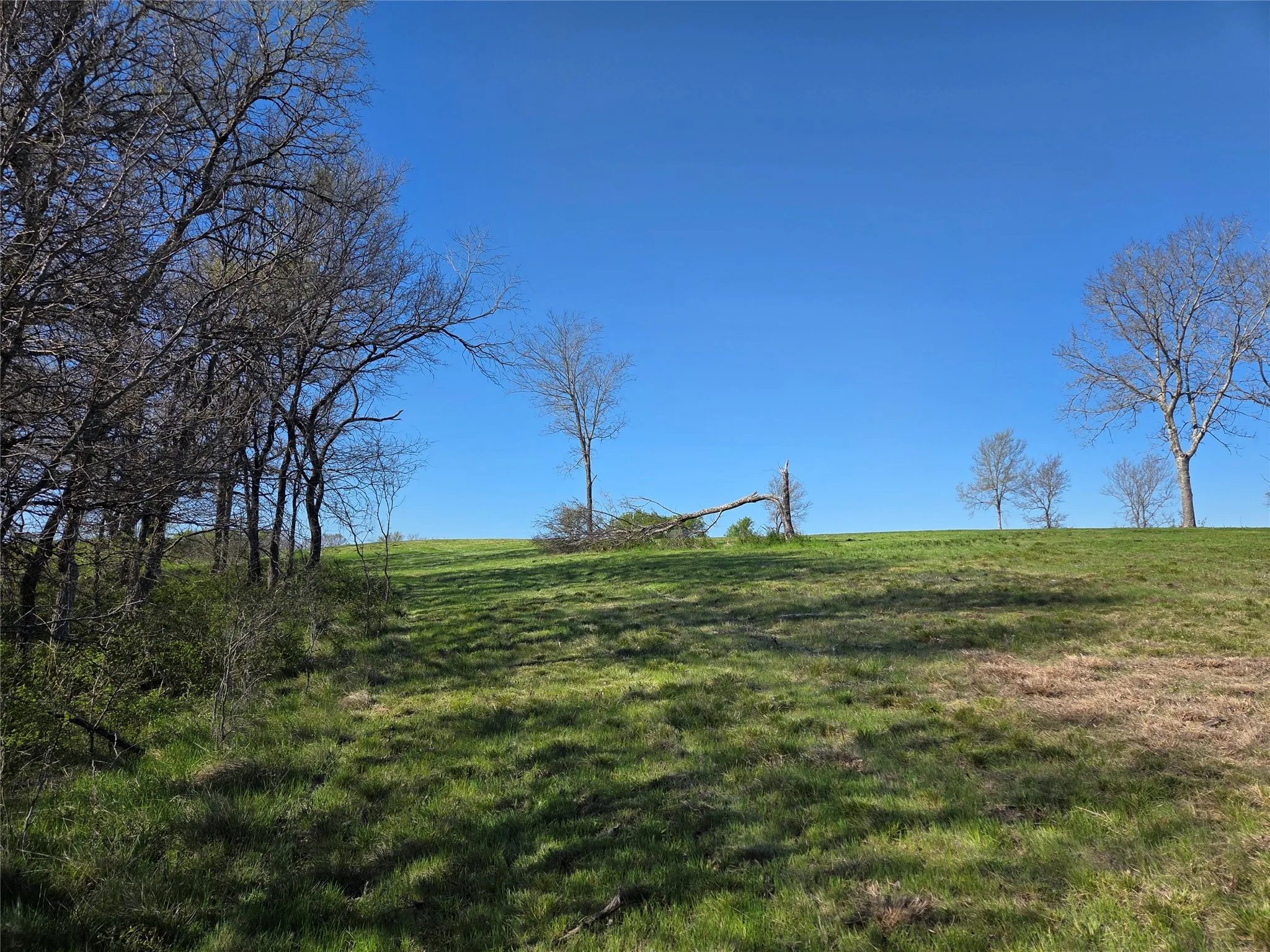 Unimproved Land For Sale in Navarro County , Lot 60 Sunset Court, Corsicana, Texas 75109, 0, 0, Garage spaces, 0 Sqft, built in 0, mls#21185400, Real Estate Agent in Corsicana, Homes For Sale in Navarro county, Homes For Sale in Corsicana, Realtor in Corsicana Texas, Real Estate Brokerage Independent Realty Texas, Luminita Cordes Realtor