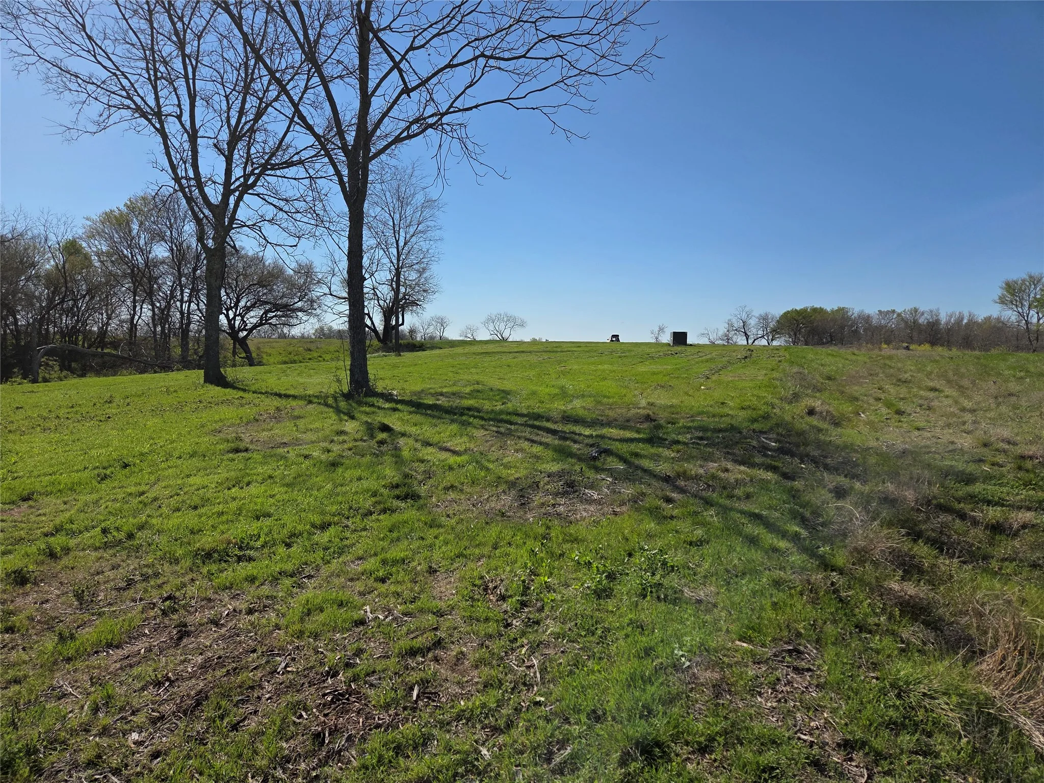 Unimproved Land For Sale in Navarro County , Lot 60 Sunset Court, Corsicana, Texas 75109, 0, 0, Garage spaces, 0 Sqft, built in 0, mls#21185400, Real Estate Agent in Corsicana, Homes For Sale in Navarro county, Homes For Sale in Corsicana, Realtor in Corsicana Texas, Real Estate Brokerage Independent Realty Texas, Luminita Cordes Realtor